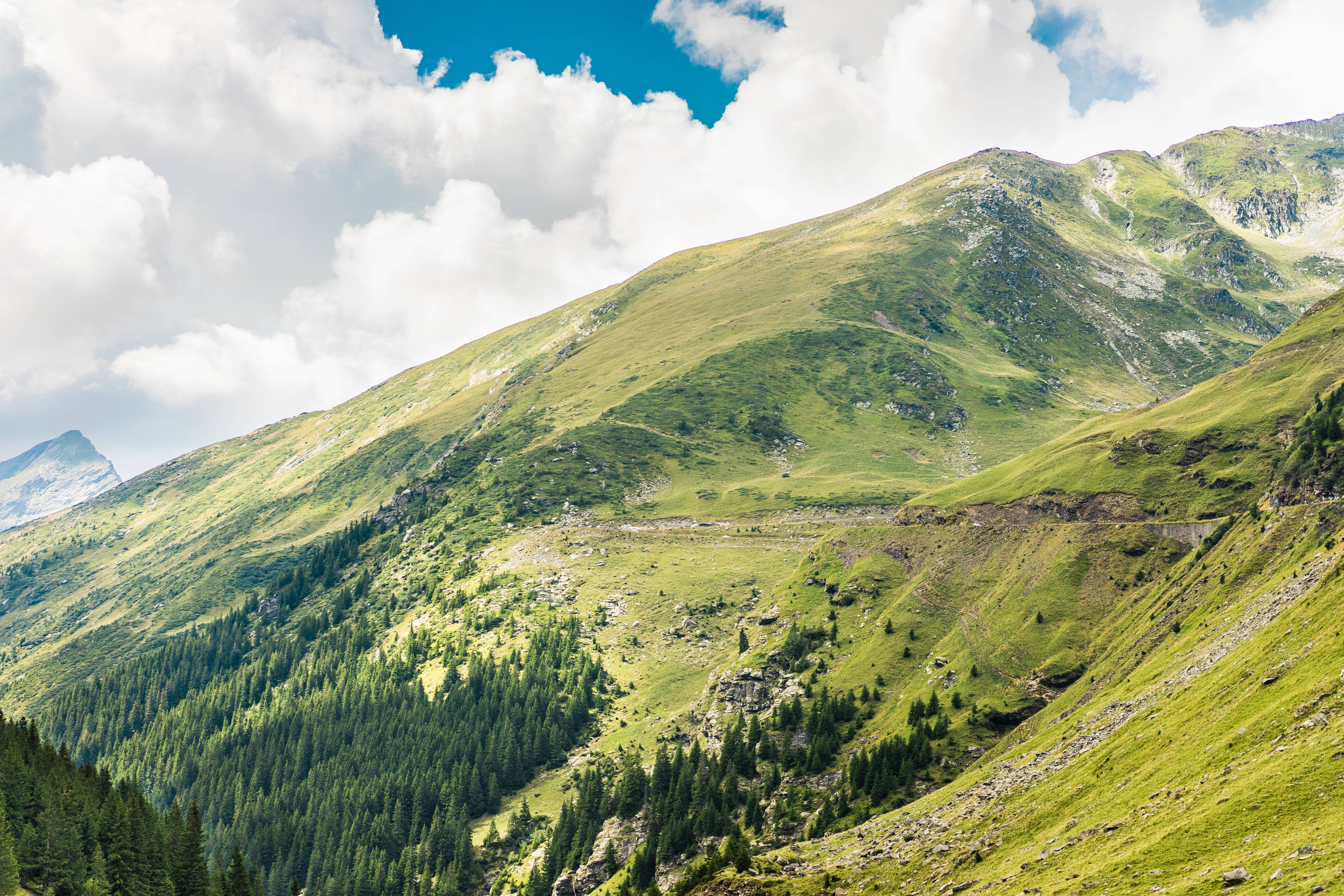 綠色山丘最美自然風景 壁紙 — 廣闊的綠色山坡上點綴著常青樹，在明亮的藍天和蓬鬆的白雲下。