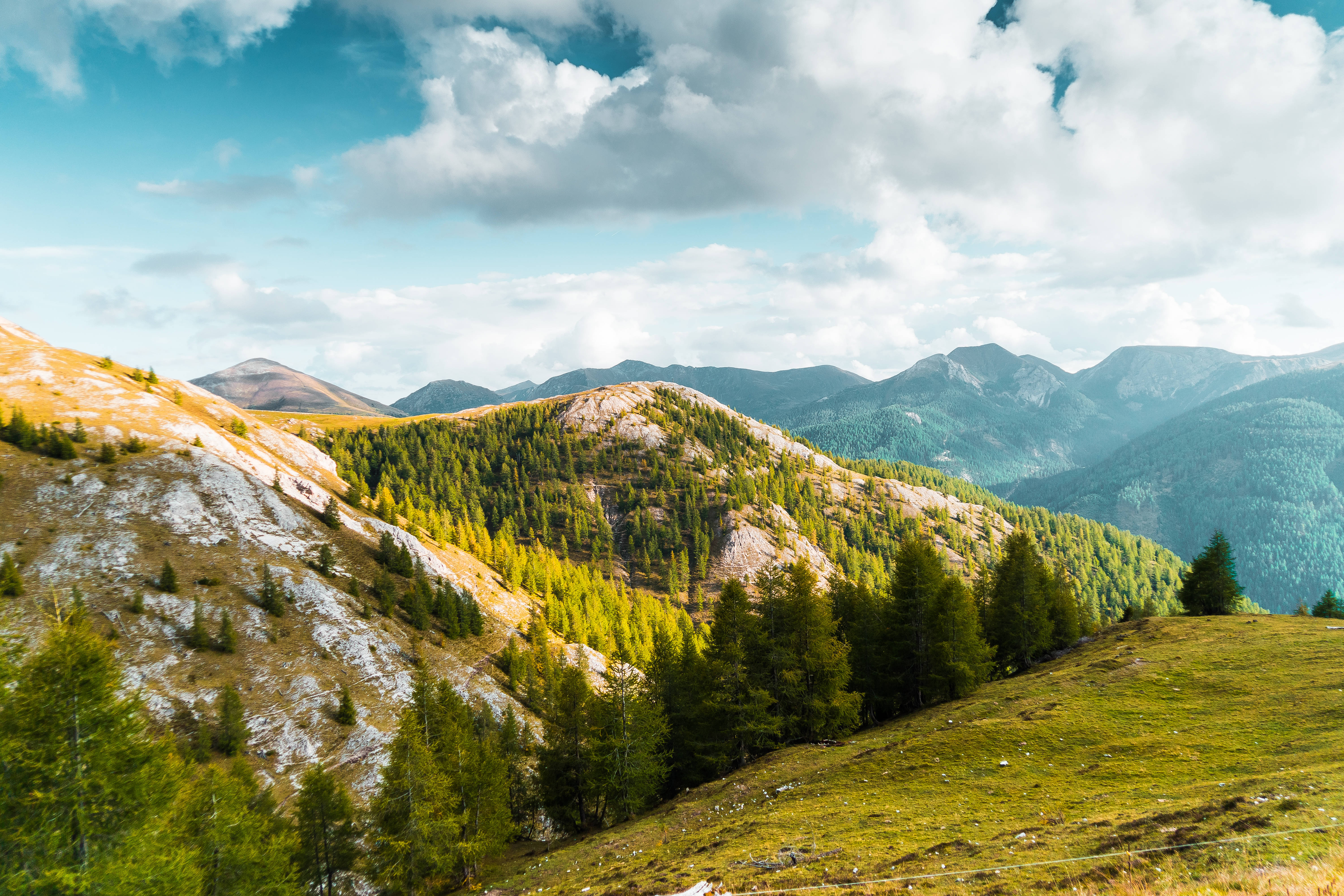 綠色山腰自然風景 壁紙 — 連綿起伏的山脊，覆蓋著翠綠和金黃的樹木，在明亮的藍天下有蓬鬆的白雲。