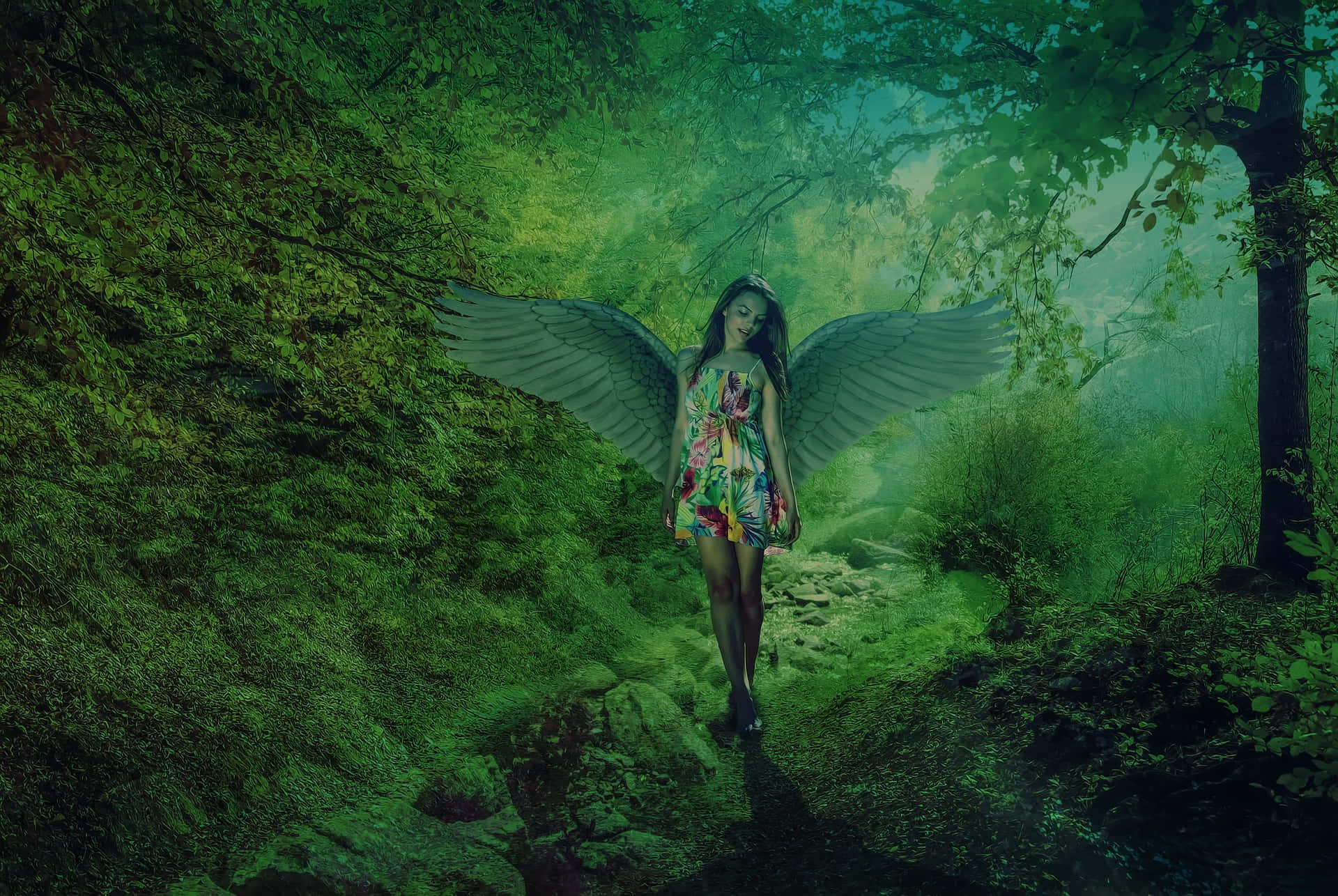 一位穿著碎花裙的有翼女人，穿過迷霧繚繞的綠色森林。