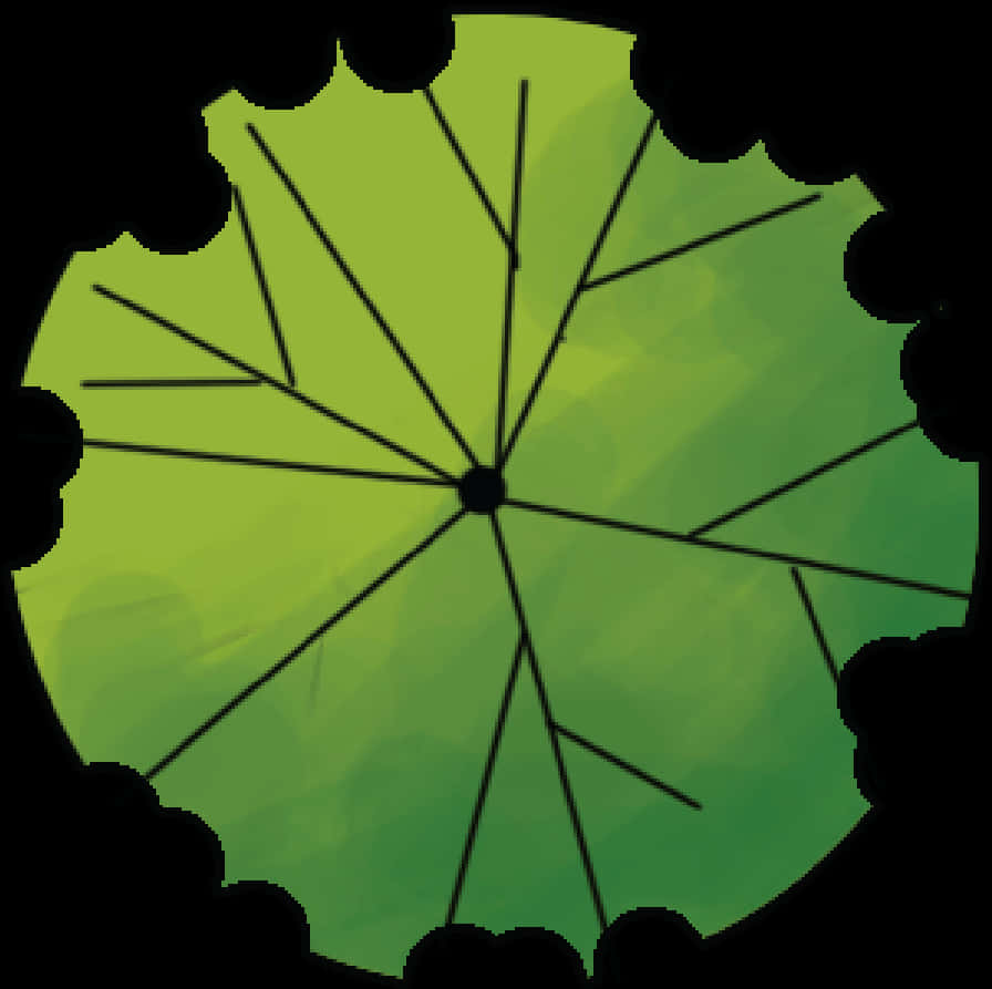 綠色樹冠頂視圖 壁紙 — 從上方觀看的風格化綠色雨傘，帶有黑色放射線和扇形黑色邊緣。