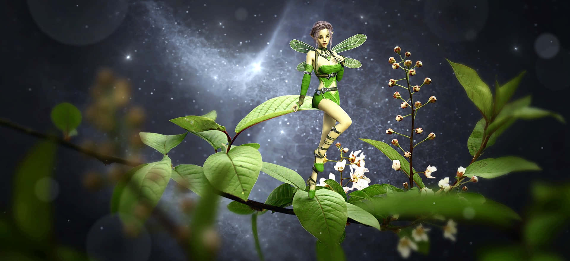 一隻綠翼仙子坐在樹葉茂密的樹枝上，在星光閃爍的夜空下。