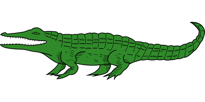 綠色短吻鱷插畫 壁紙