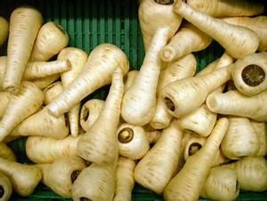 綠色籃子中的蘿蔔根菜堆 壁紙 — 新鮮歐洲防風草堆放在綠色板條箱中，帶有大地色調和自然質感。
