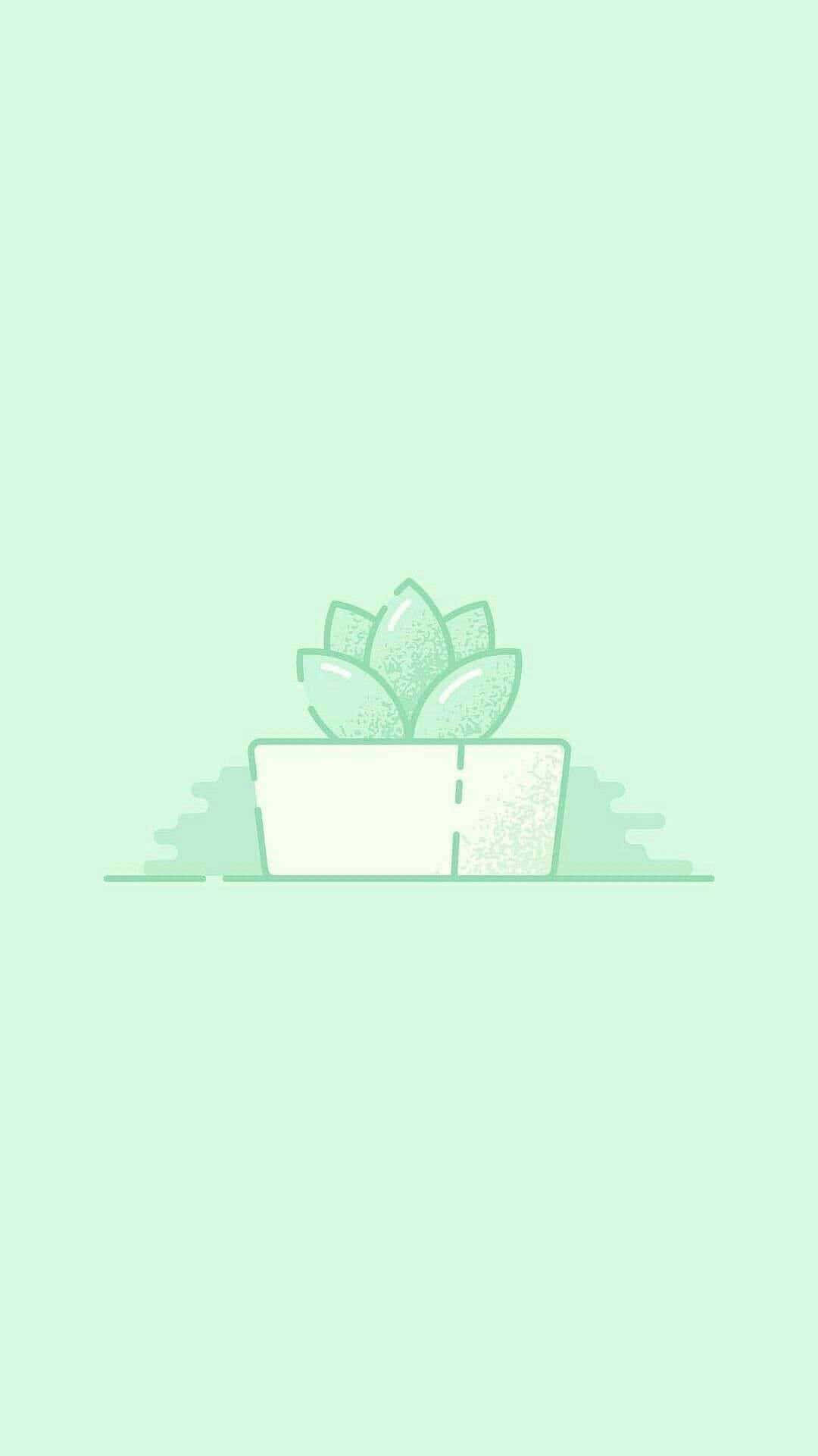 綠色美學背景 壁紙