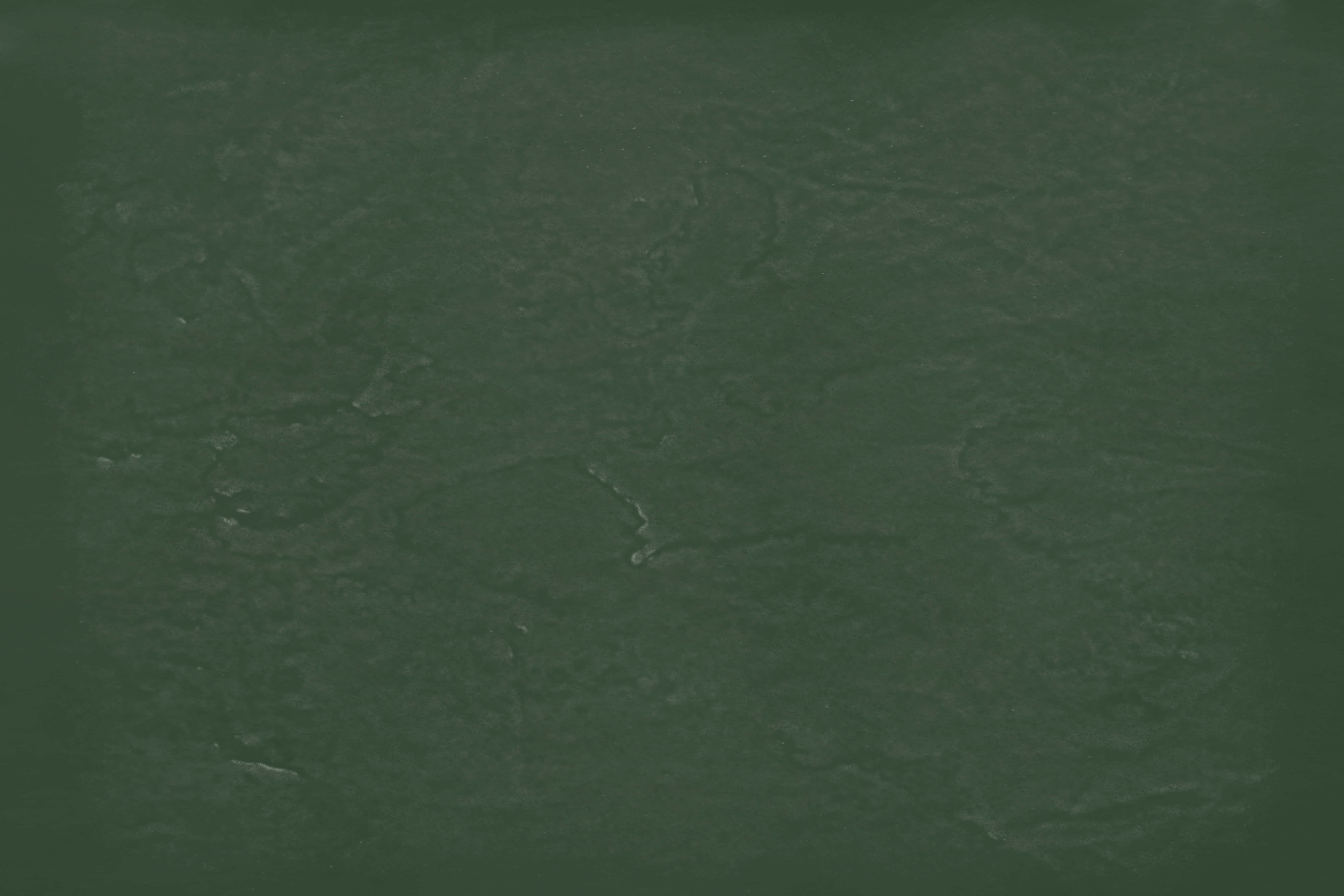 綠色背景配黑色背景 壁紙