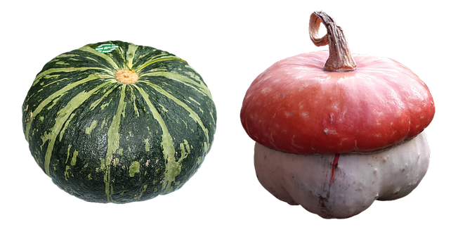 綠色與白色條紋南瓜及紅色頭巾南瓜 壁紙