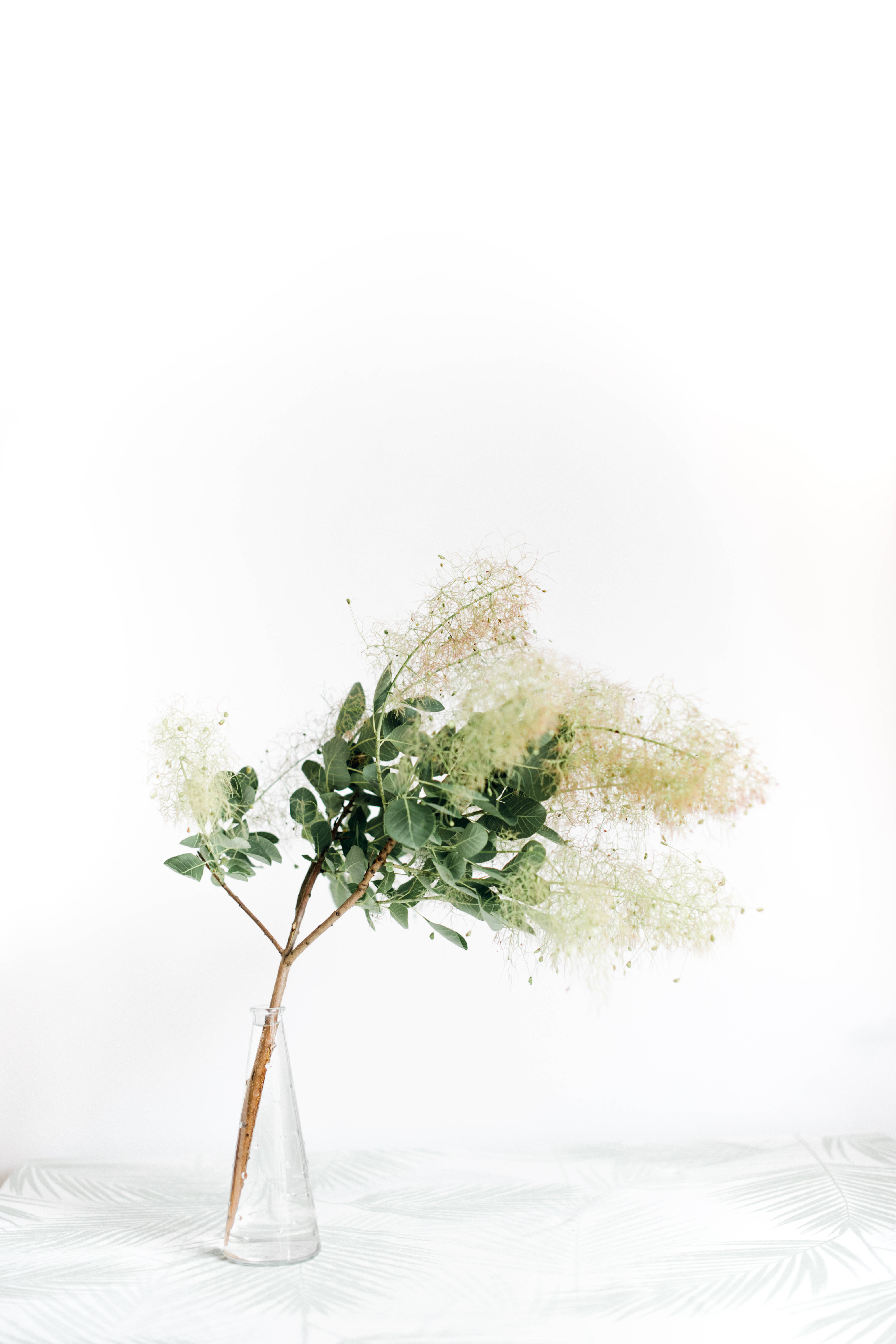 綠色花卉與小花瓶 壁紙 — 一根精緻的樹枝，帶有綠葉和羽毛般的白色花朵，放在透明玻璃花瓶裡，置於白色紋理表面上。
