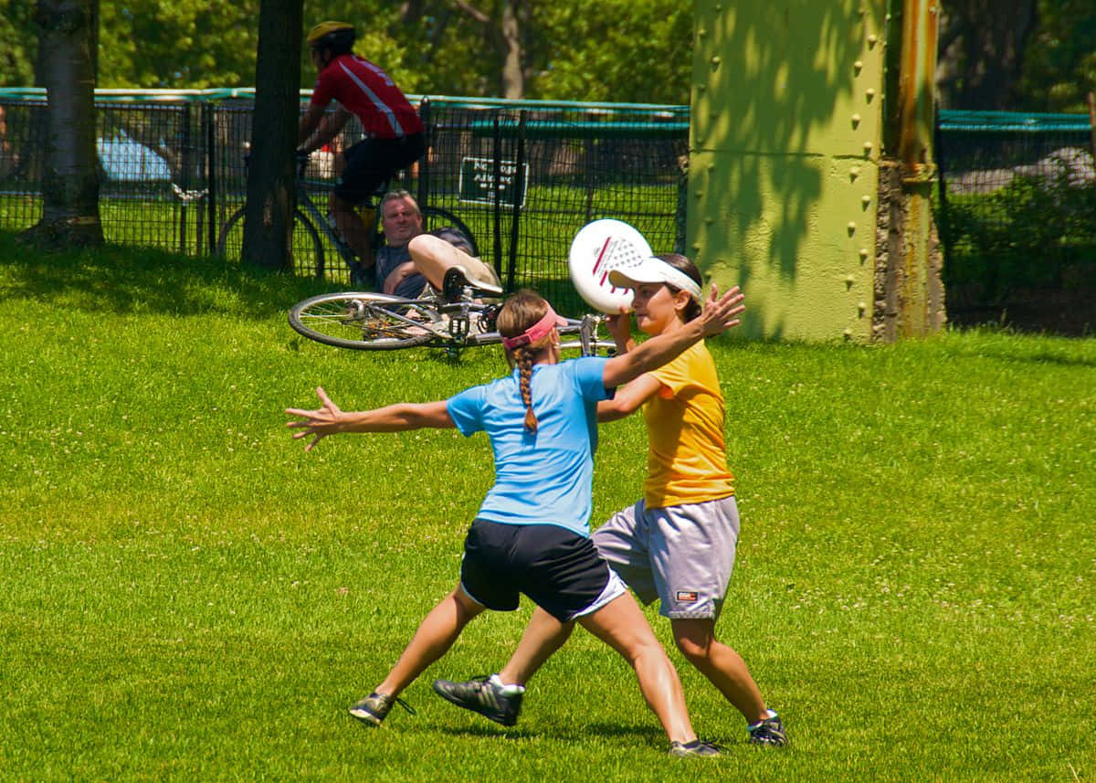 綠色草地 1080p Ultimate Frisbee 桌面背景 壁紙 — 兩位女士在陽光明媚的草地上爭奪飛盤，附近有一位騎單車的人和一位男士在休息。