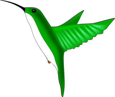綠色蜂鳥插畫 壁紙