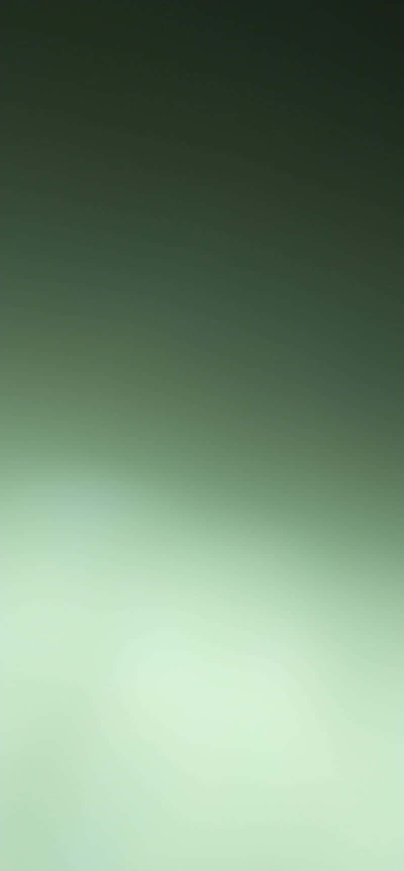 帶有微妙光線擴散的柔和綠色漸變背景，營造寧靜氛圍。