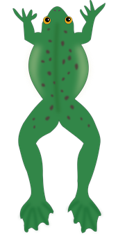 綠色青蛙插圖 壁紙