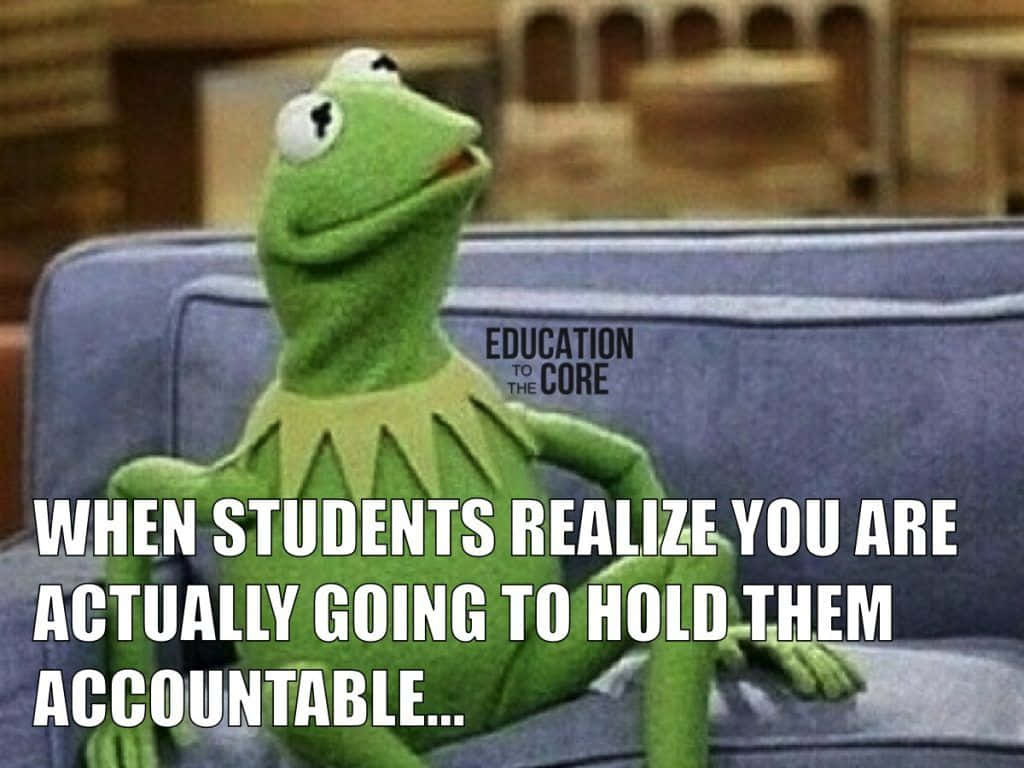 Educational Memes 桌布 壁紙 — 綠色青蛙木偶放鬆地坐在藍色沙發上，帶有關於學生責任的文字疊加。