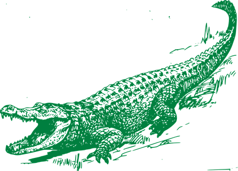 綠色鱷魚插畫 壁紙
