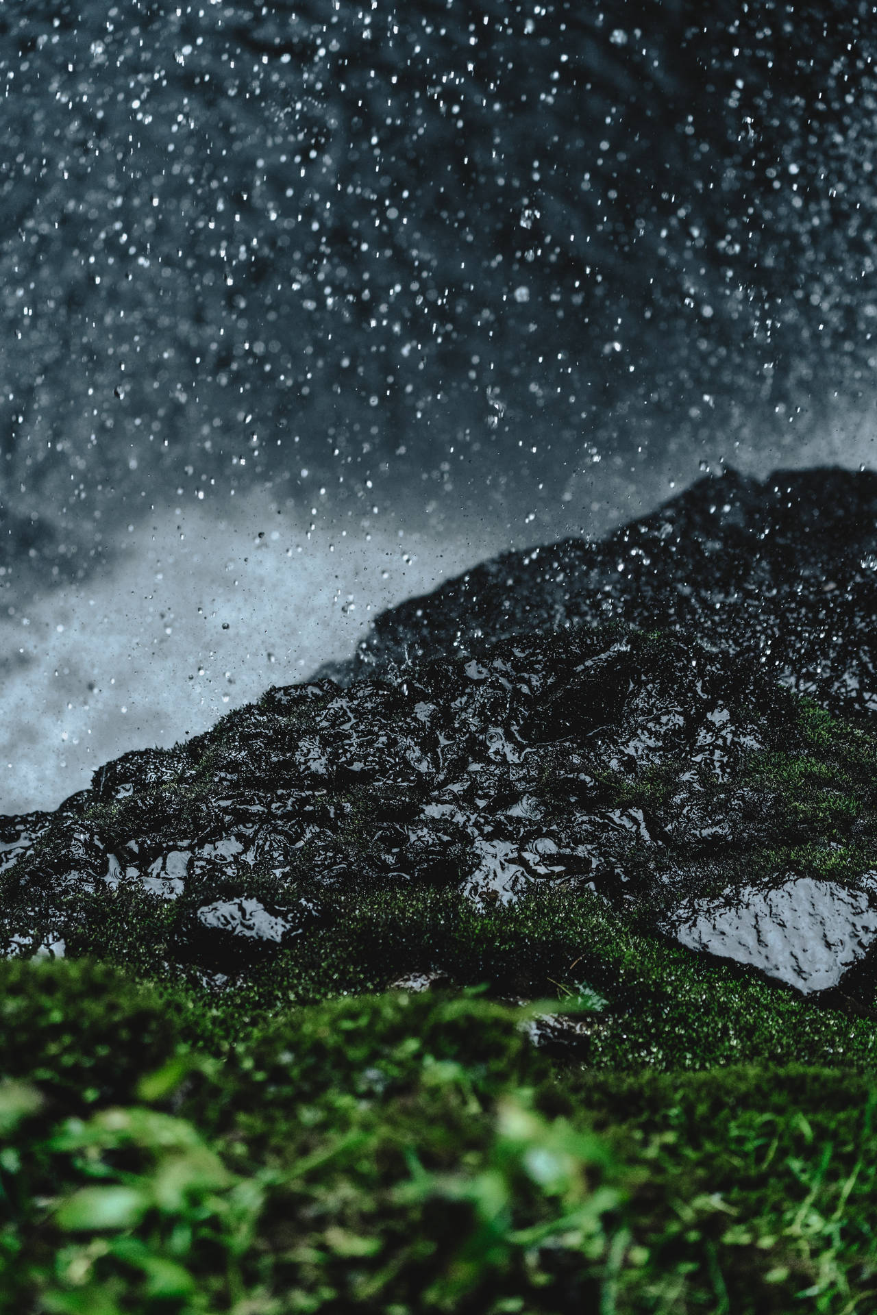 在暴風雨的森林場景中，雨滴落在長滿苔蘚的岩石上