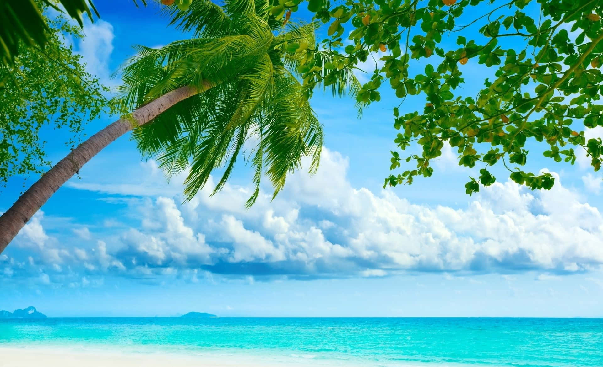 綠葉海灘主題背景 壁紙 — 充滿活力的熱帶海灘場景，傾斜的棕櫚樹框住碧綠的海水，上方是明亮的藍天和蓬鬆的白雲。
