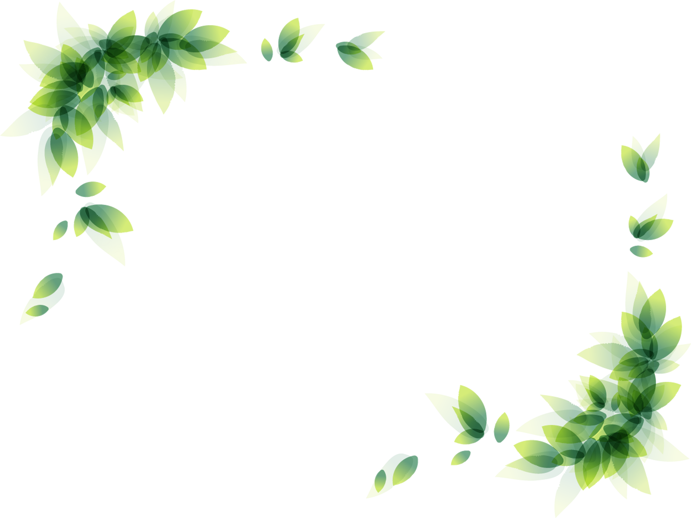 綠葉花卉裝飾角落邊框 壁紙 — 綠色葉子角落和白色泡泡漩渦在裝飾邊框設計中框住黑色背景。