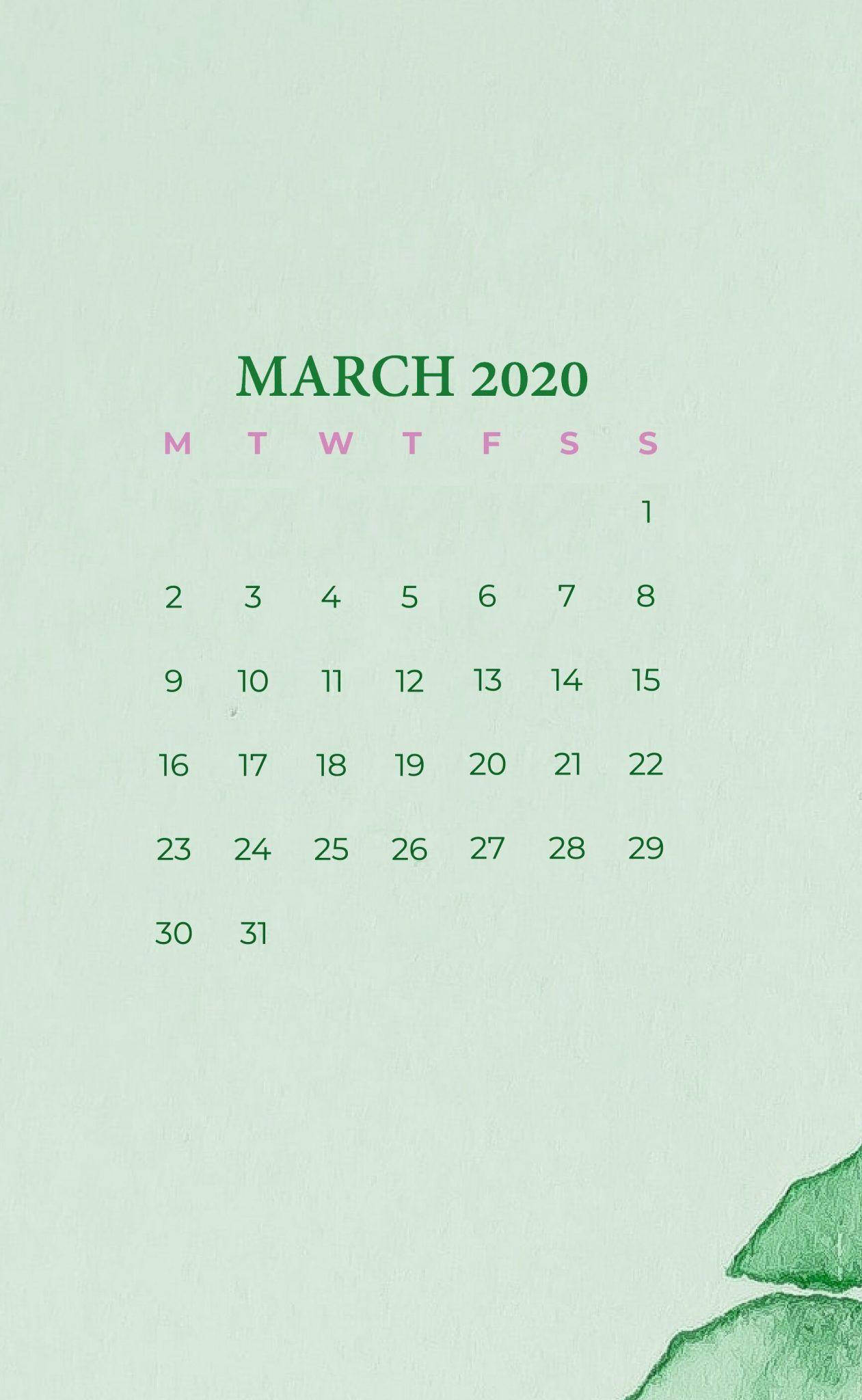 綠調三月曆 壁紙 — 簡約風格的2020年3月月曆，綠色和粉紅色，帶有紋理的薄荷色背景，角落有葉子裝飾。