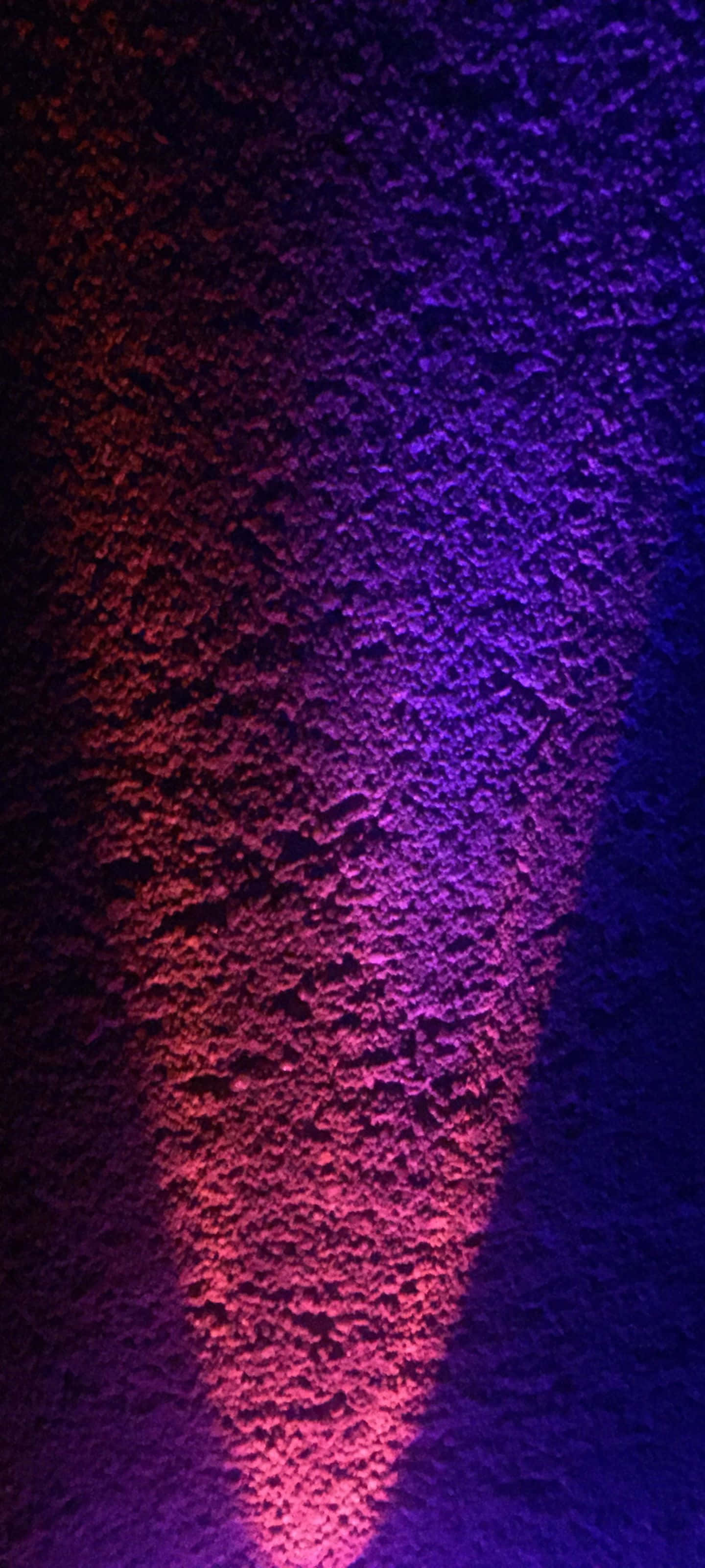 綠野中的一朵紅花 壁紙 — 一面紋理牆壁沐浴在紅紫漸變的鮮豔燈光中，營造出戲劇性且充滿氛圍的感覺。