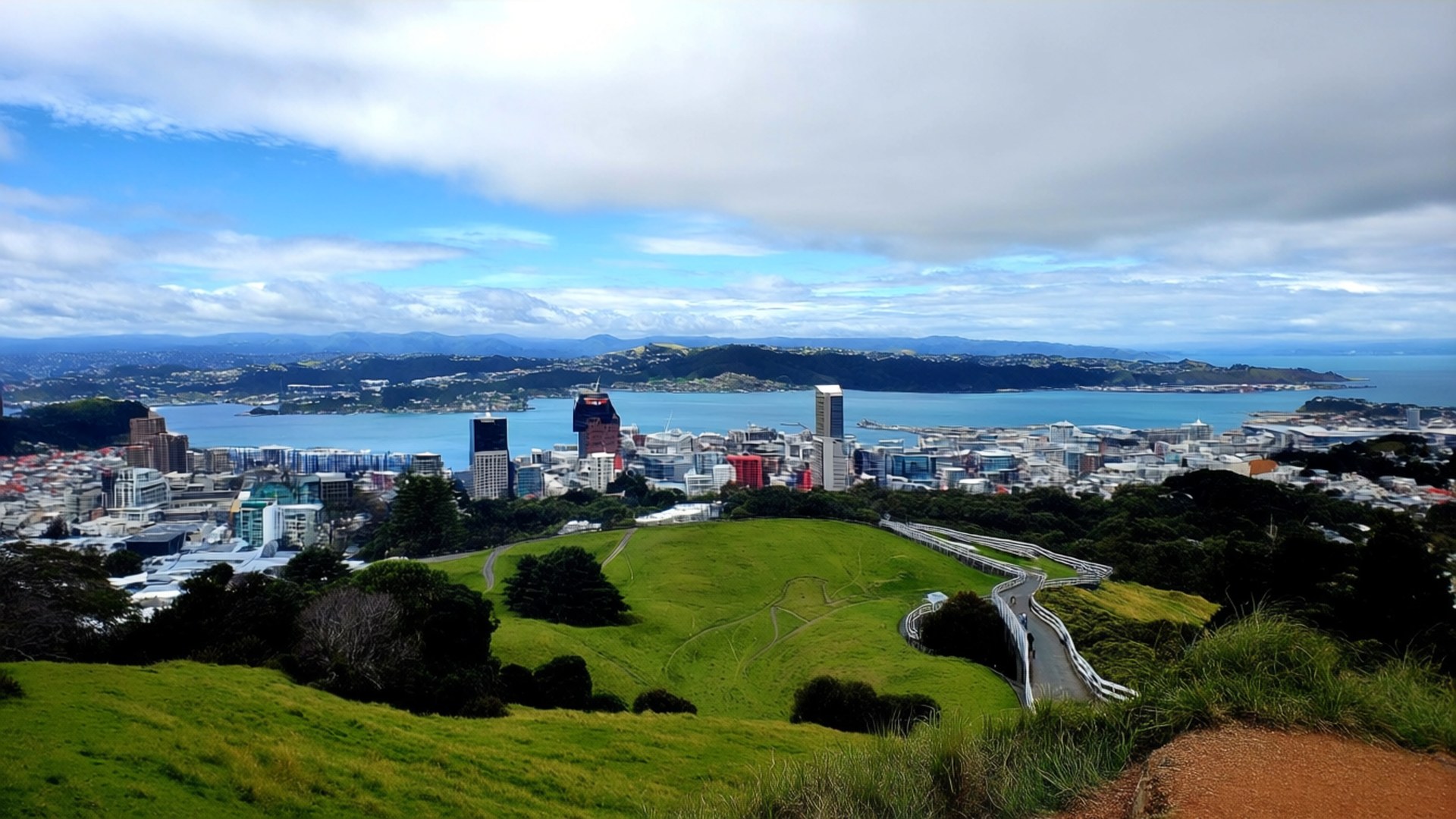 海岸城市景觀，有綠色山丘同蜿蜒道路俯瞰藍色海灣。