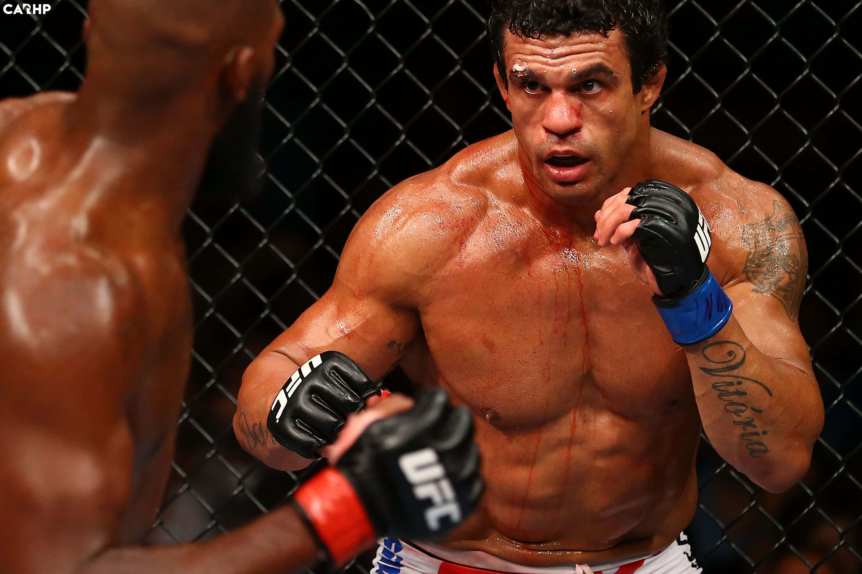 維托·貝爾福特對戰強尼·瓊斯 UFC 152 壁紙 — 一名血跡斑斑的MMA拳手，手臂有紋身，戴著UFC手套，在八角籠內進行殘酷比賽時凝視著對手。