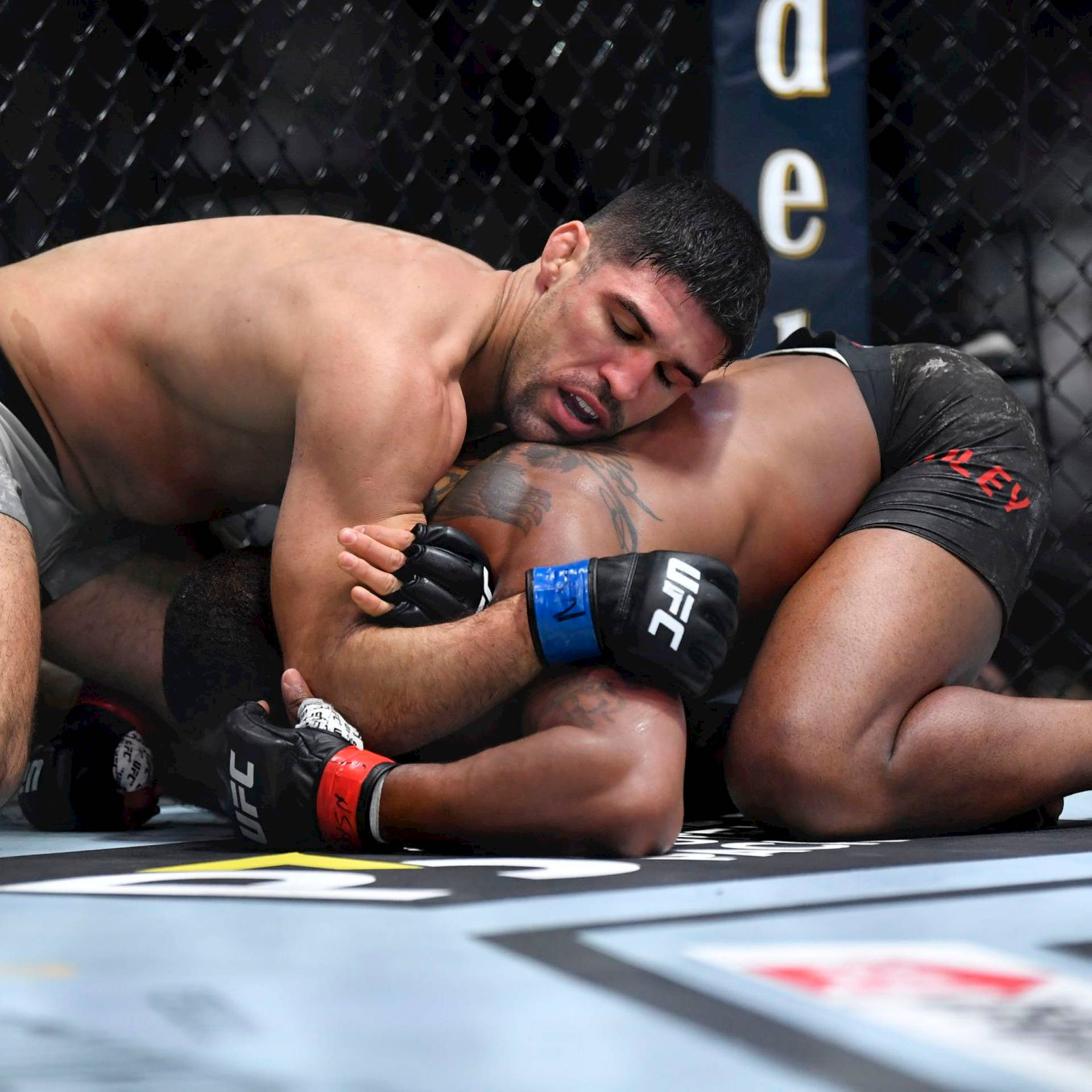 維森特·盧克壓制對手 壁紙 — 兩名MMA拳手在UFC八角籠墊上激烈纏鬥，背景為鐵絲網圍欄。