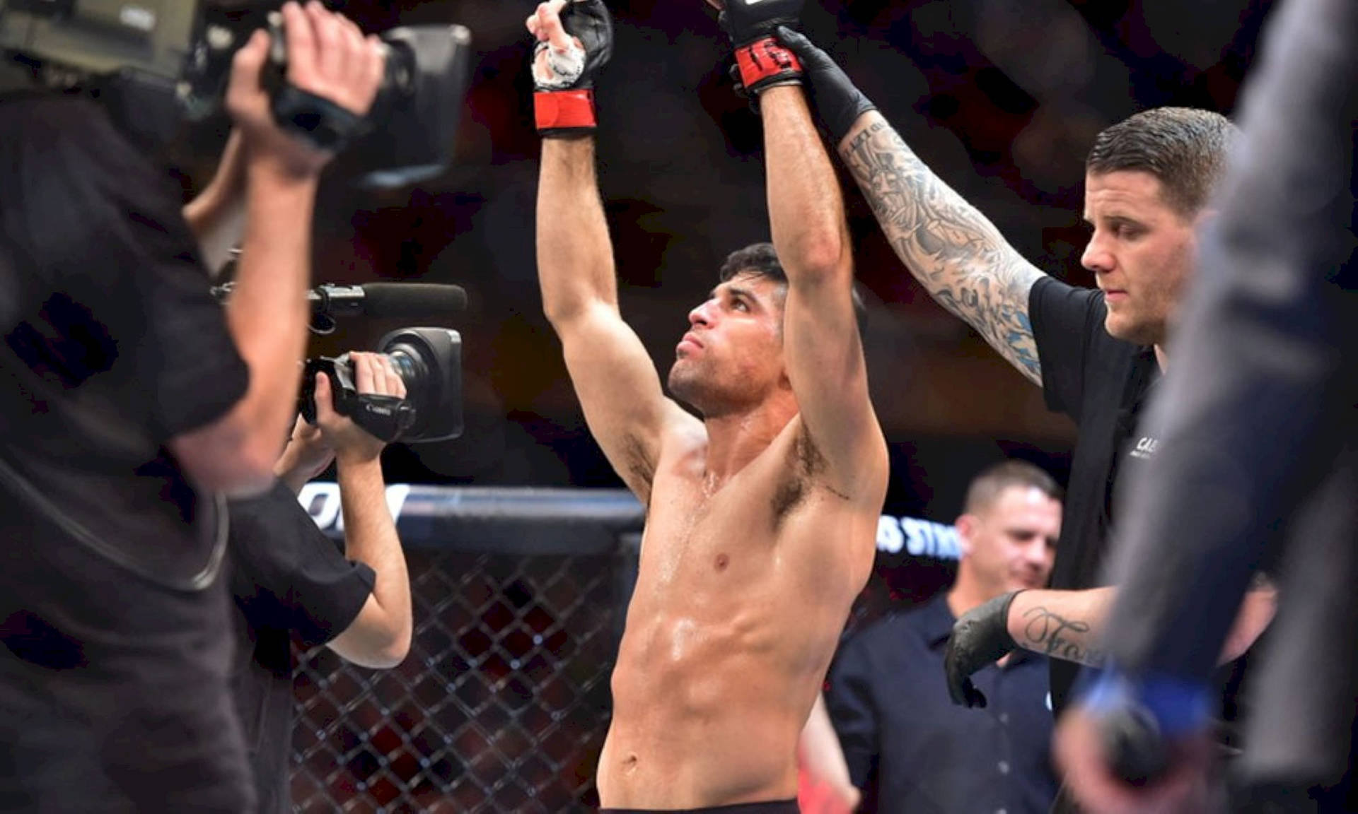 MMA 拳手在八角籠內高舉雙臂慶祝勝利。