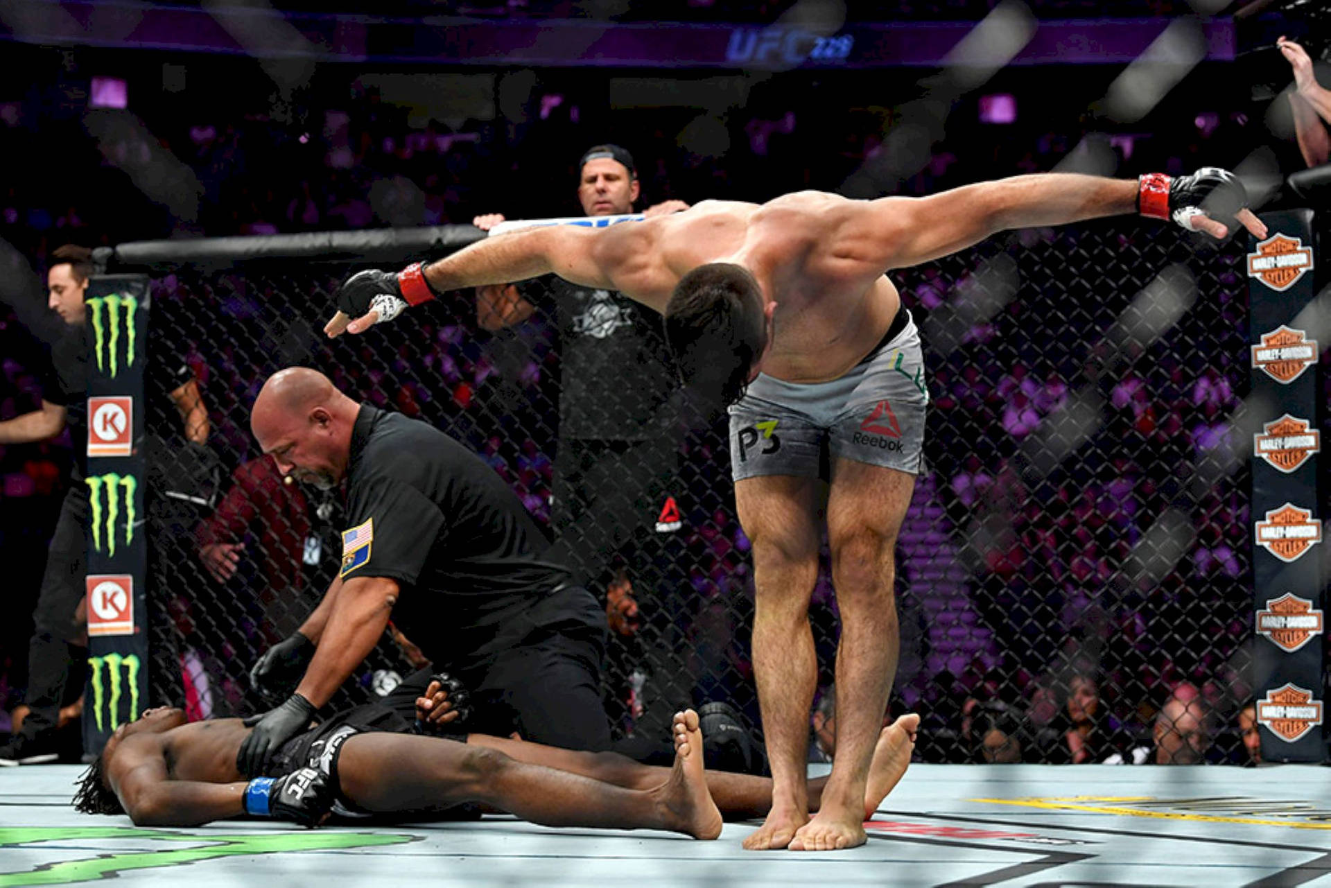 UFC拳手在八角籠中戰勝對手後站立