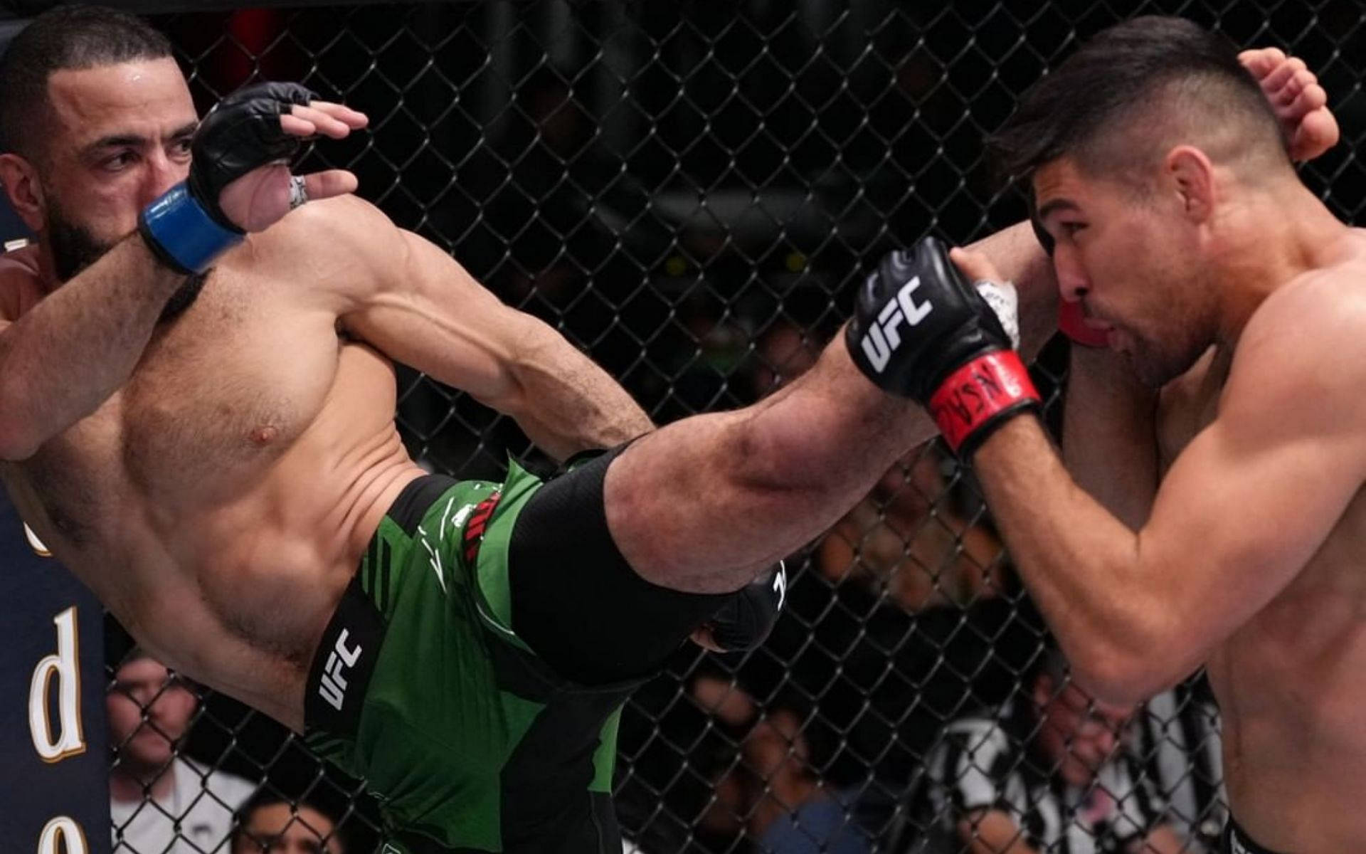 兩名男性MMA拳手在八角籠內進行對戰。