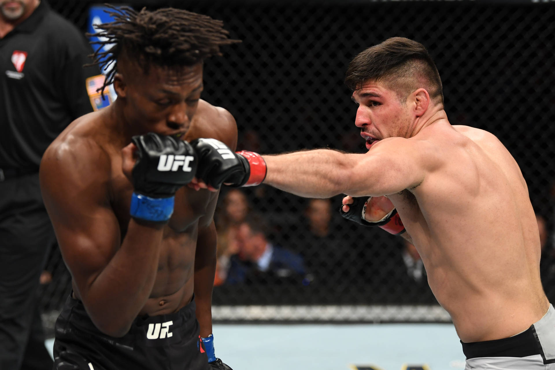 UFC比賽中，兩名拳手在八角籠內互相出拳。
