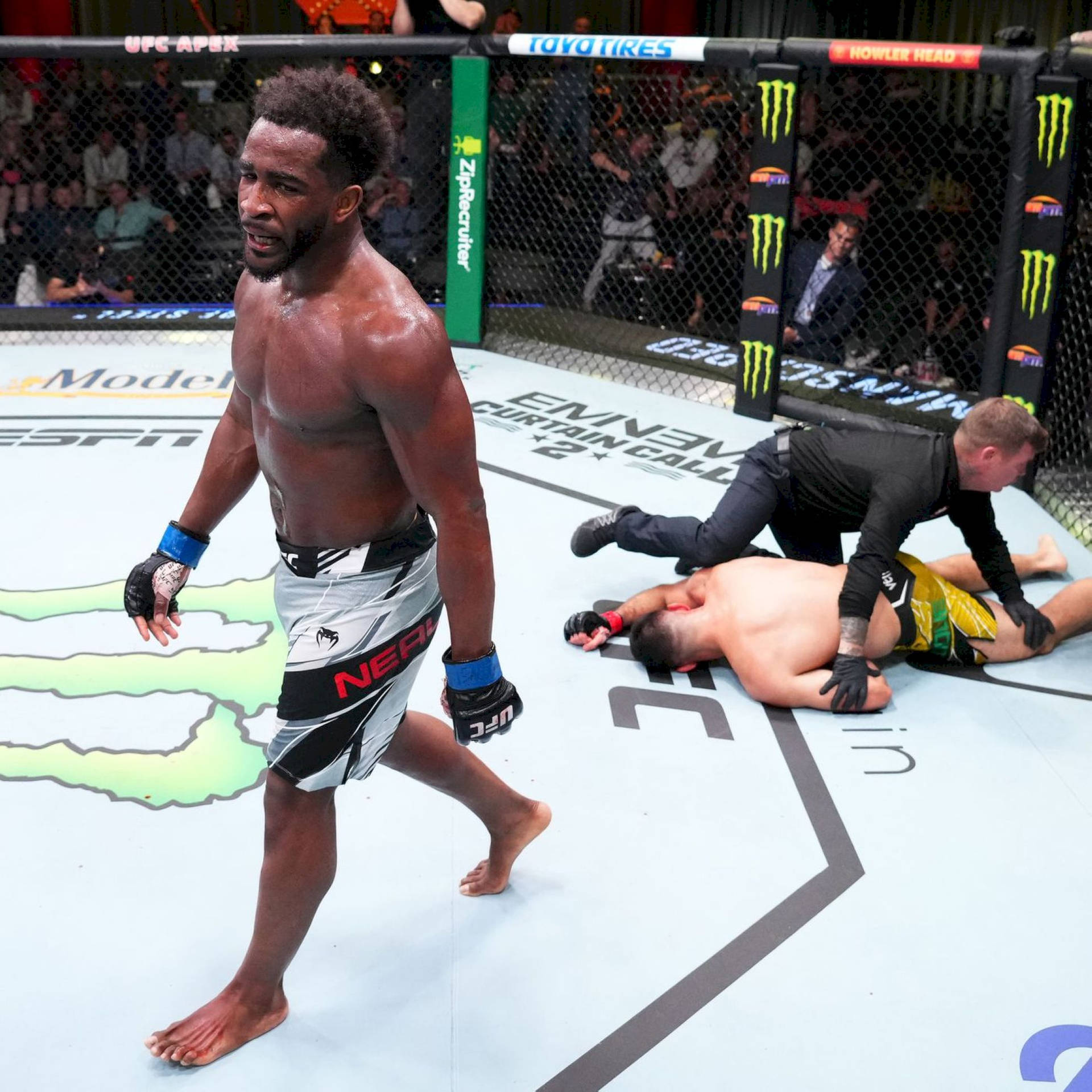 UFC拳手在贏得比賽後走開，裁判檢查倒下的對手。