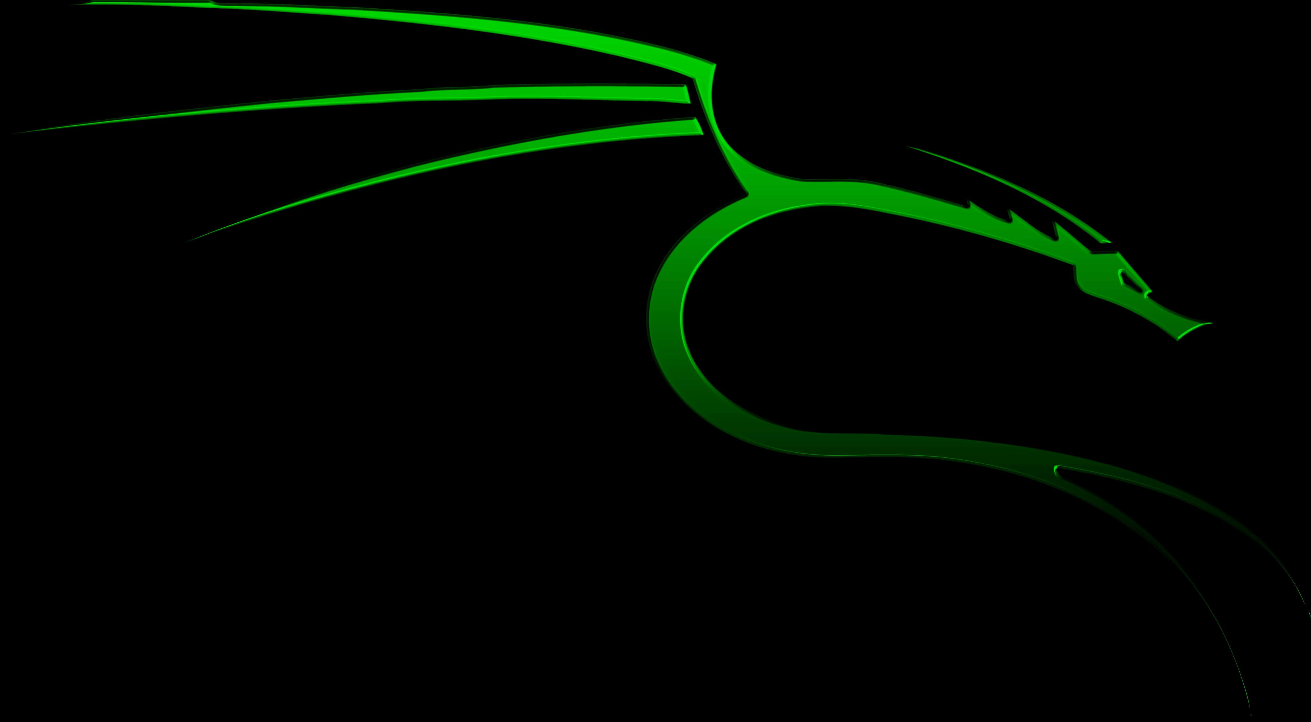 網路安全的尖端科技 — Kali Linux 壁紙 — 發光的綠色龍剪影在純黑色背景上優雅地彎曲。