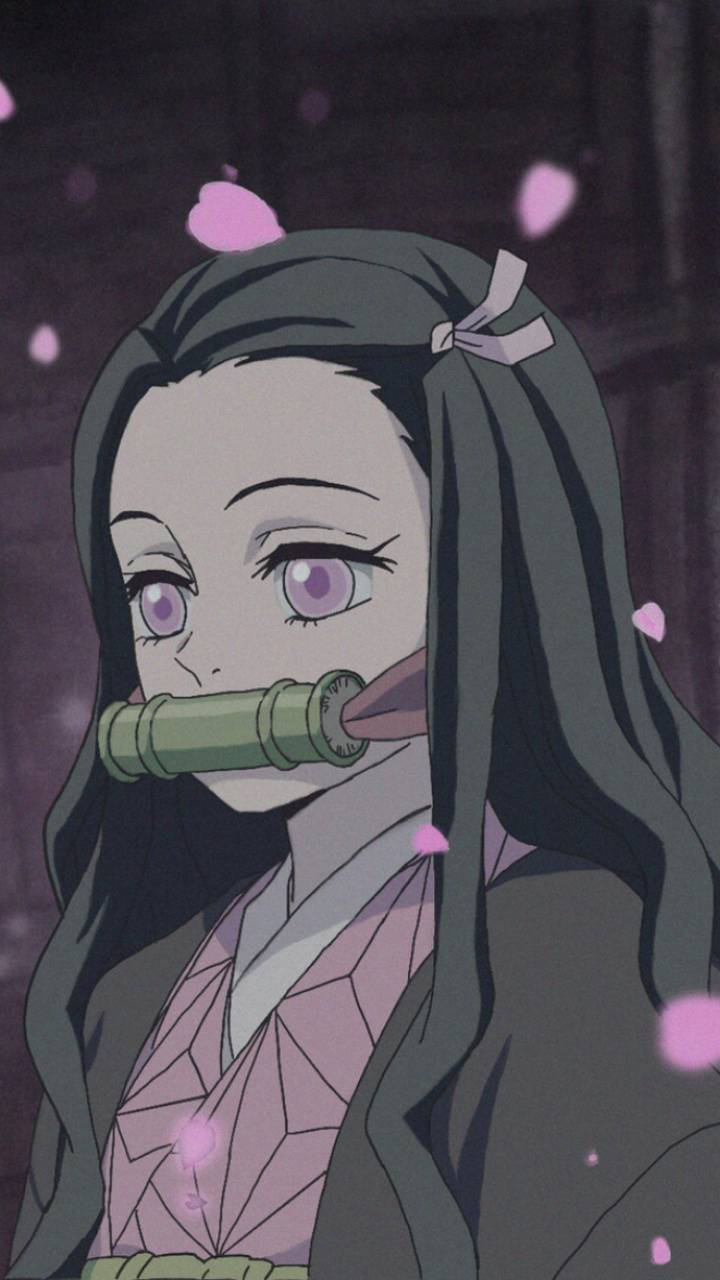 綾瀨奈子手機圖案 側面視角 壁紙 — 一個寧靜的動漫女孩，紫色眼睛，深色頭髮，手持竹管，粉紅色的櫻花在她周圍飄落，場景昏暗。