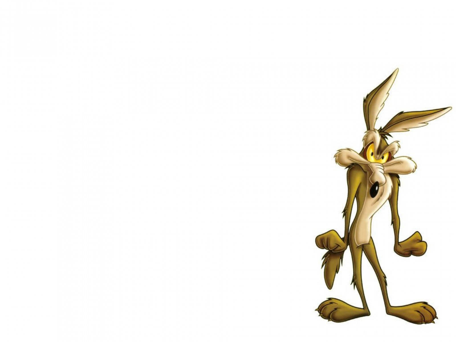 綿羊犬威爾·E·科伊ote策劃下一次冒險 壁紙 — Wile E. Coyote 獨自站在純白背景前，表情沮喪，雙臂交叉。