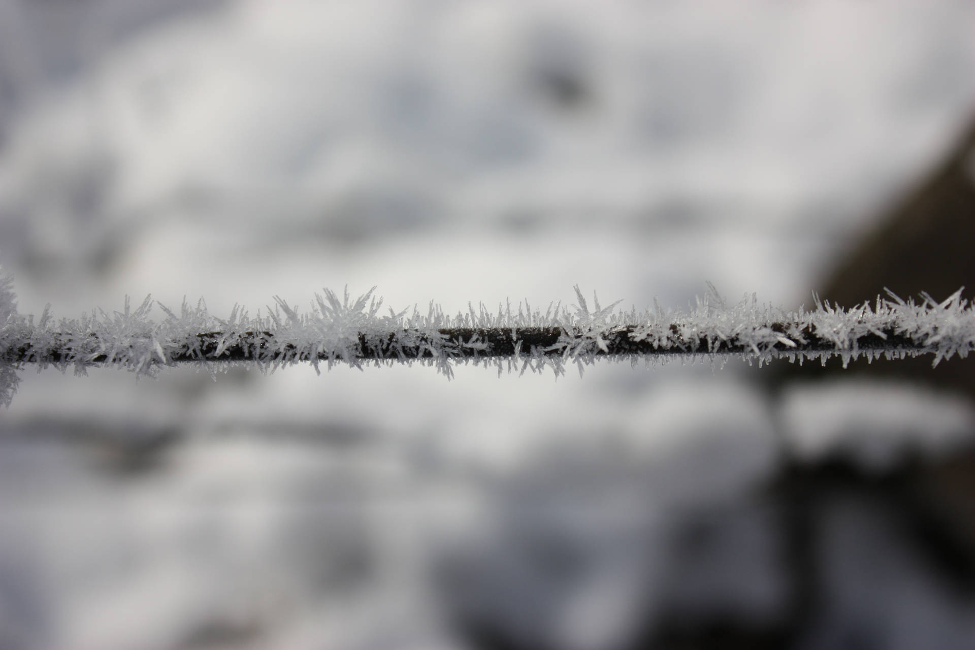 雪景冬日場景中電線上的霜晶。