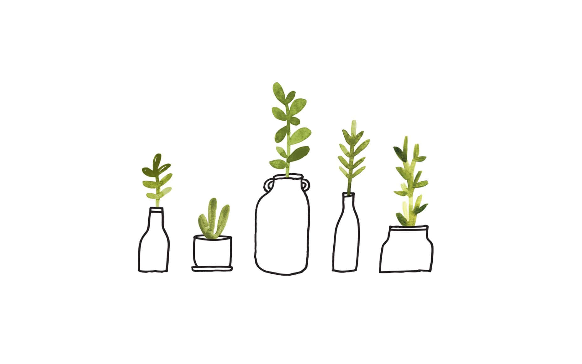 線條與水彩風格簡約植物桌面 壁紙 — 五個極簡線條畫植物，放在各種罐子和瓶子中，帶有綠色葉子，背景為純白色。
