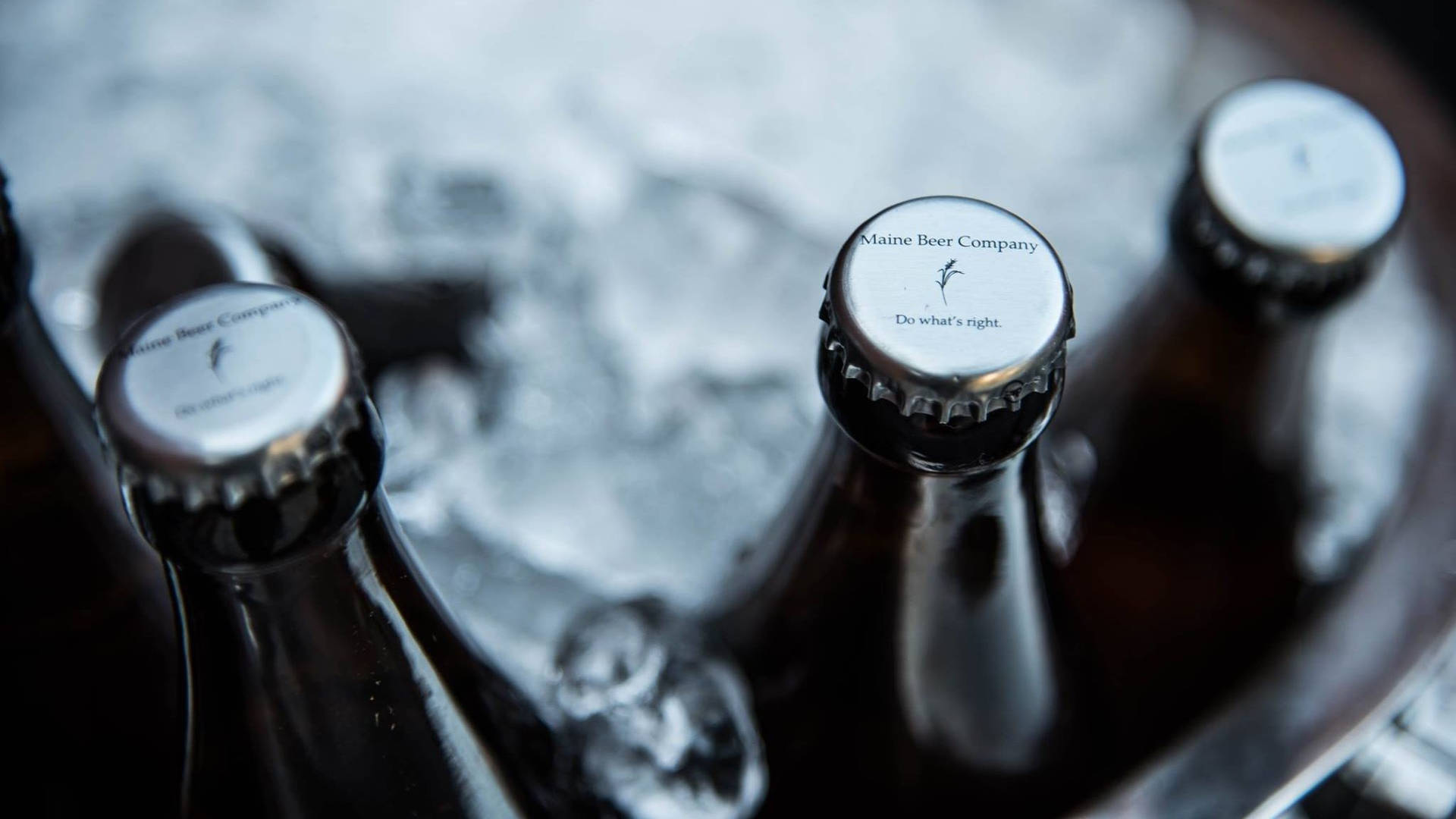 冰桶中的冰鎮啤酒瓶，帶有Maine Beer Company標籤。