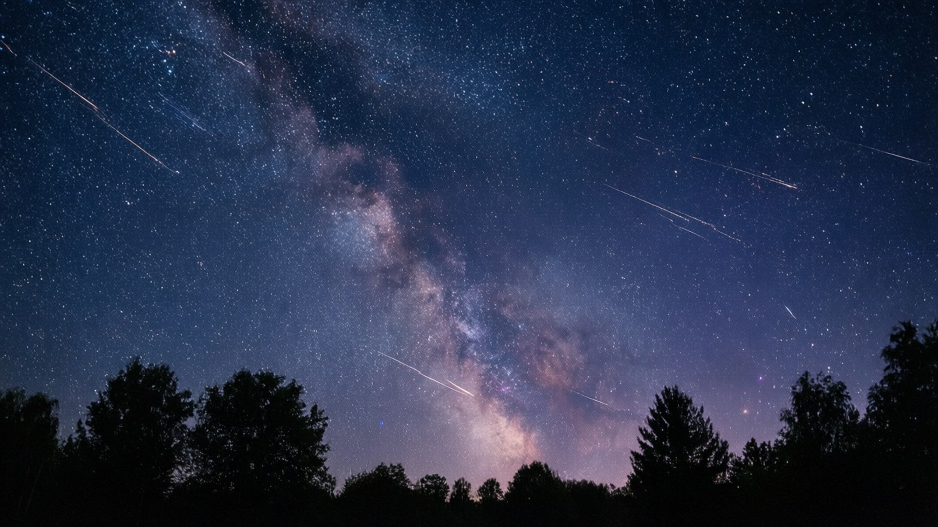 銀河系在繁星點點的夜空下，拱形跨越黑暗樹木的剪影。