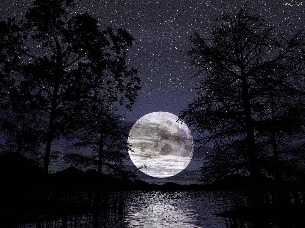 滿月懸在湖上，樹木剪影襯托著繁星夜空。
