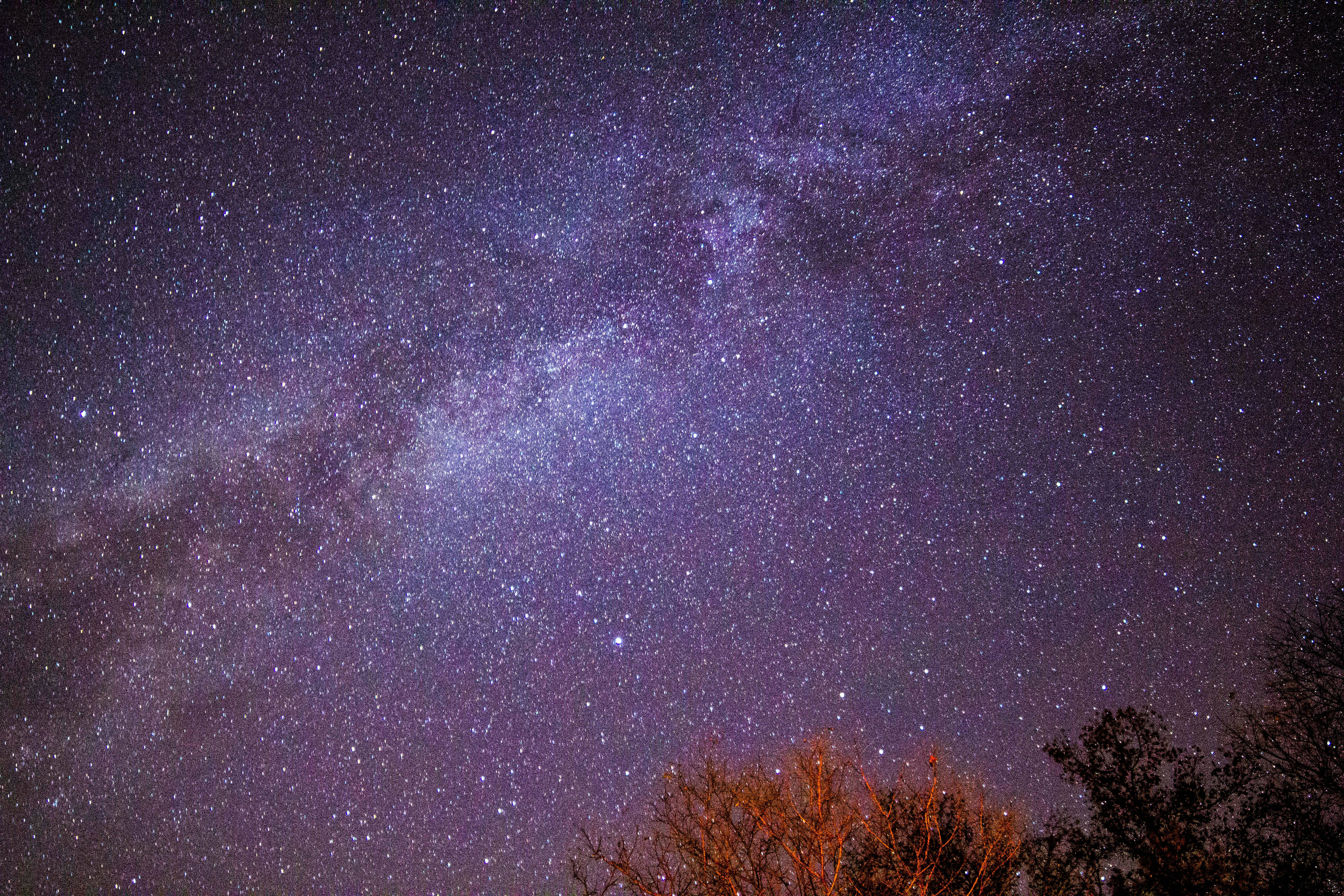 繁星閃爍的紫色夜空 壁紙 — 令人驚嘆的銀河系景觀，在深紫色和藍色中發光，映襯著冬季樹木的剪影。