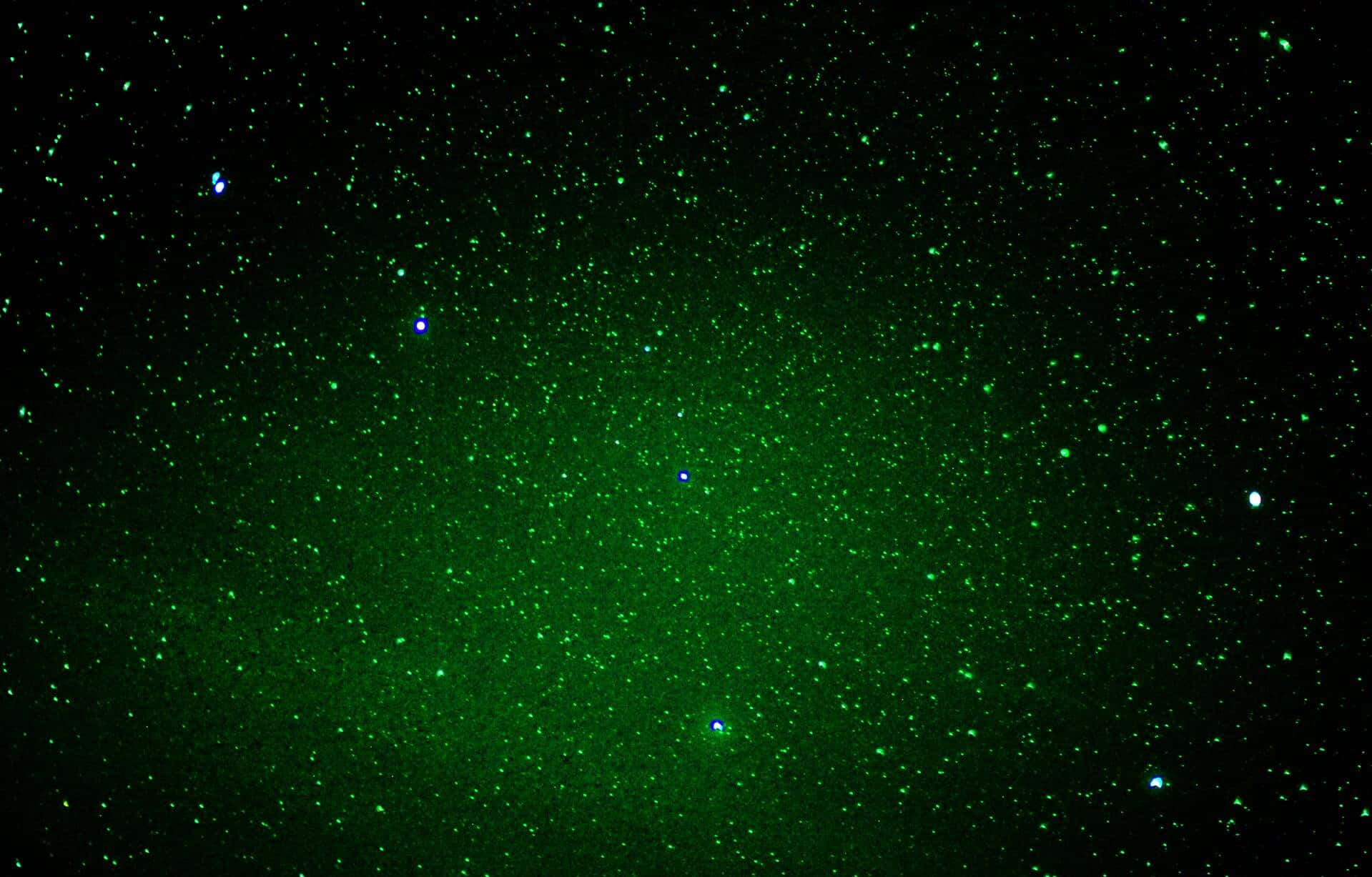 繁星閃耀的夜空 壁紙 — 一片宇宙空間，在深邃的黑色虛空中閃耀著充滿活力的綠色星星。