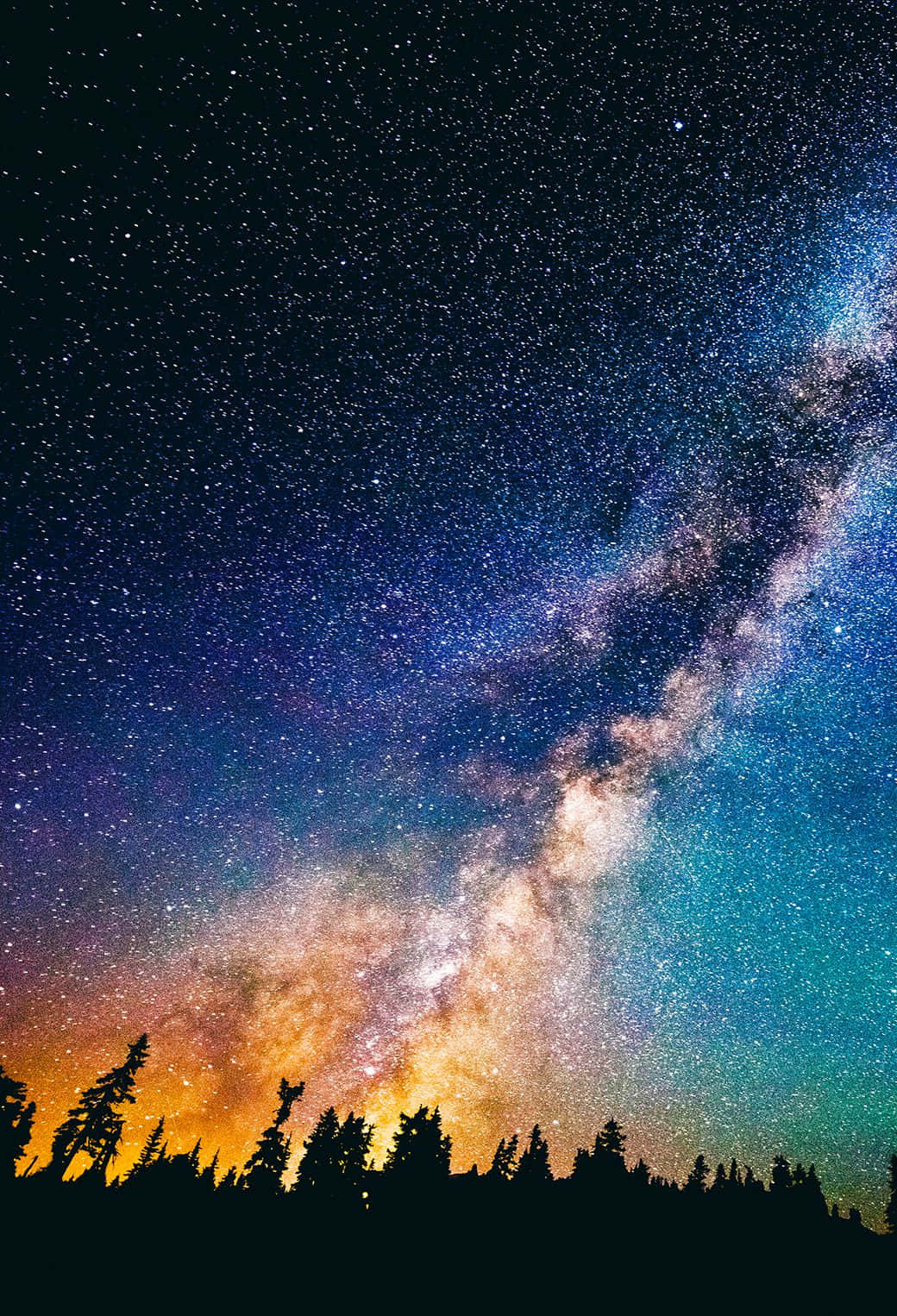 夜晚，銀河系在松樹剪影上方閃耀。