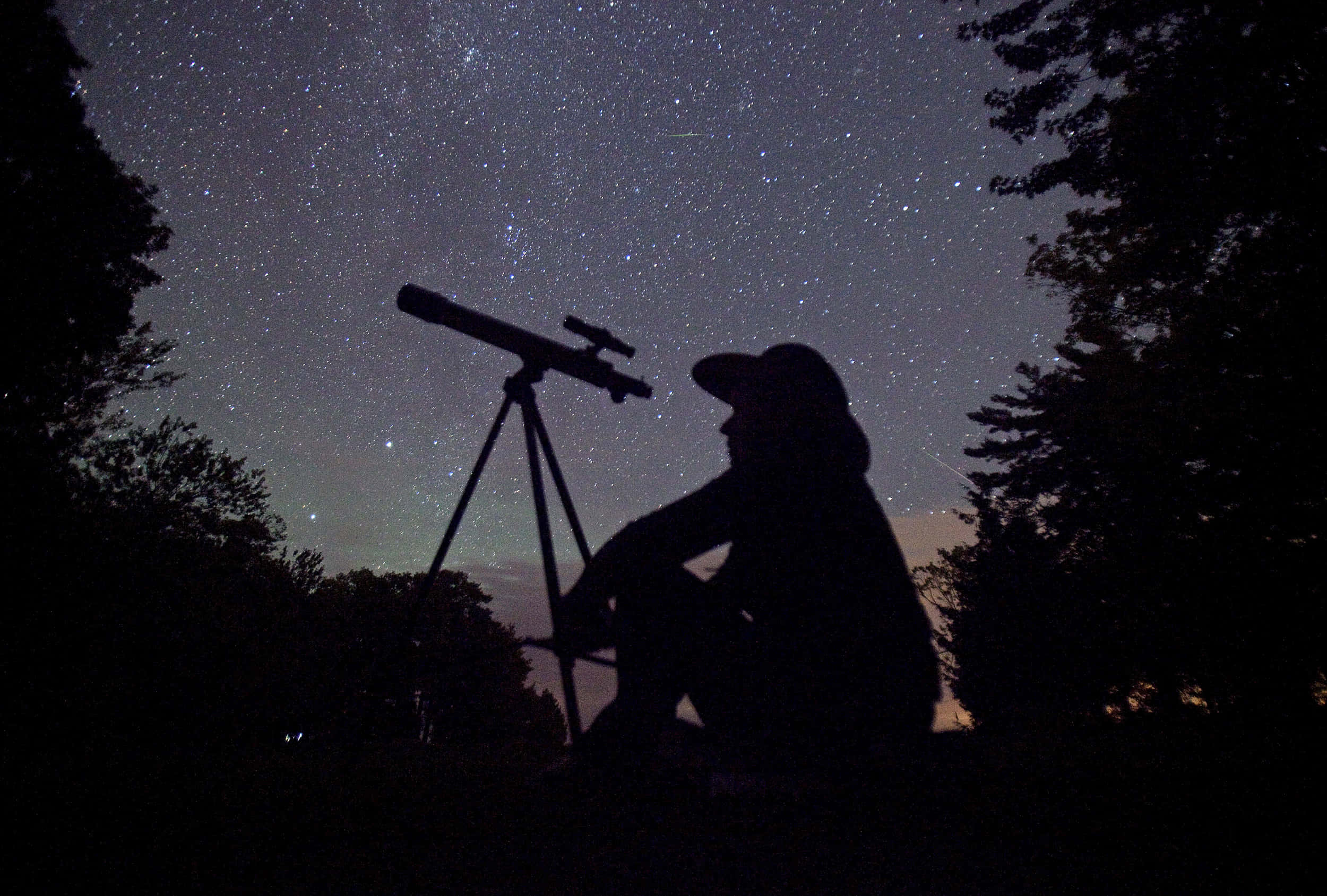 「繁星點綴的夜空」 壁紙 — 一個人用望遠鏡凝視著被黑暗樹木框住的星空夜景的剪影。
