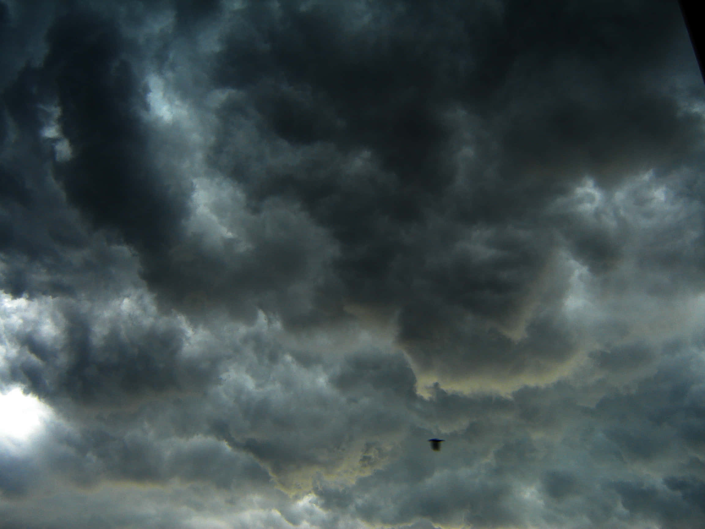 繁星點點的壯麗暴風雨夜空 壁紙 — 一隻孤鳥在充滿陰沉烏雲、被柔和金光穿透的戲劇性天空下翱翔。