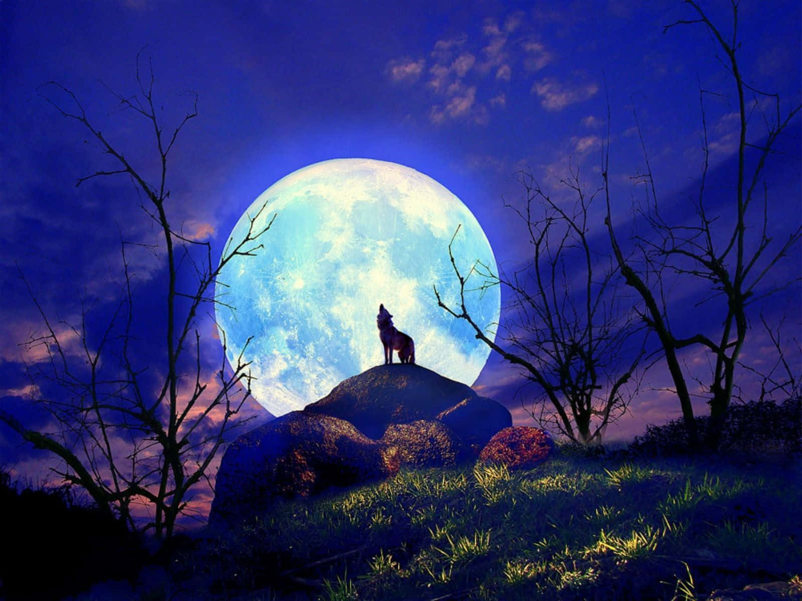 狼在夜間山丘上對著滿月嚎叫，周圍有光禿禿的樹木