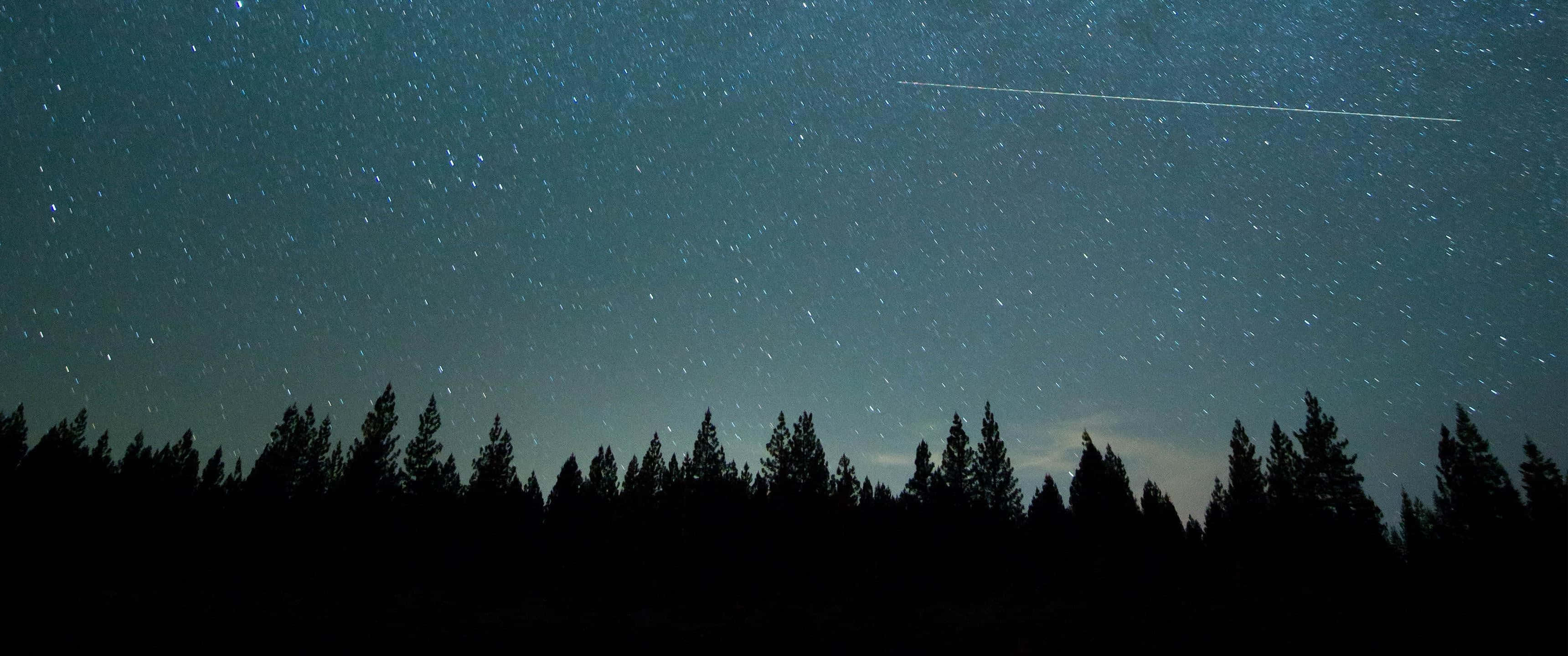 Image Modern Minimalist 3440x1440 Wallpaper 壁紙 — 繁星點點的夜空，一顆明亮的流星劃過松樹的黑暗輪廓上方。