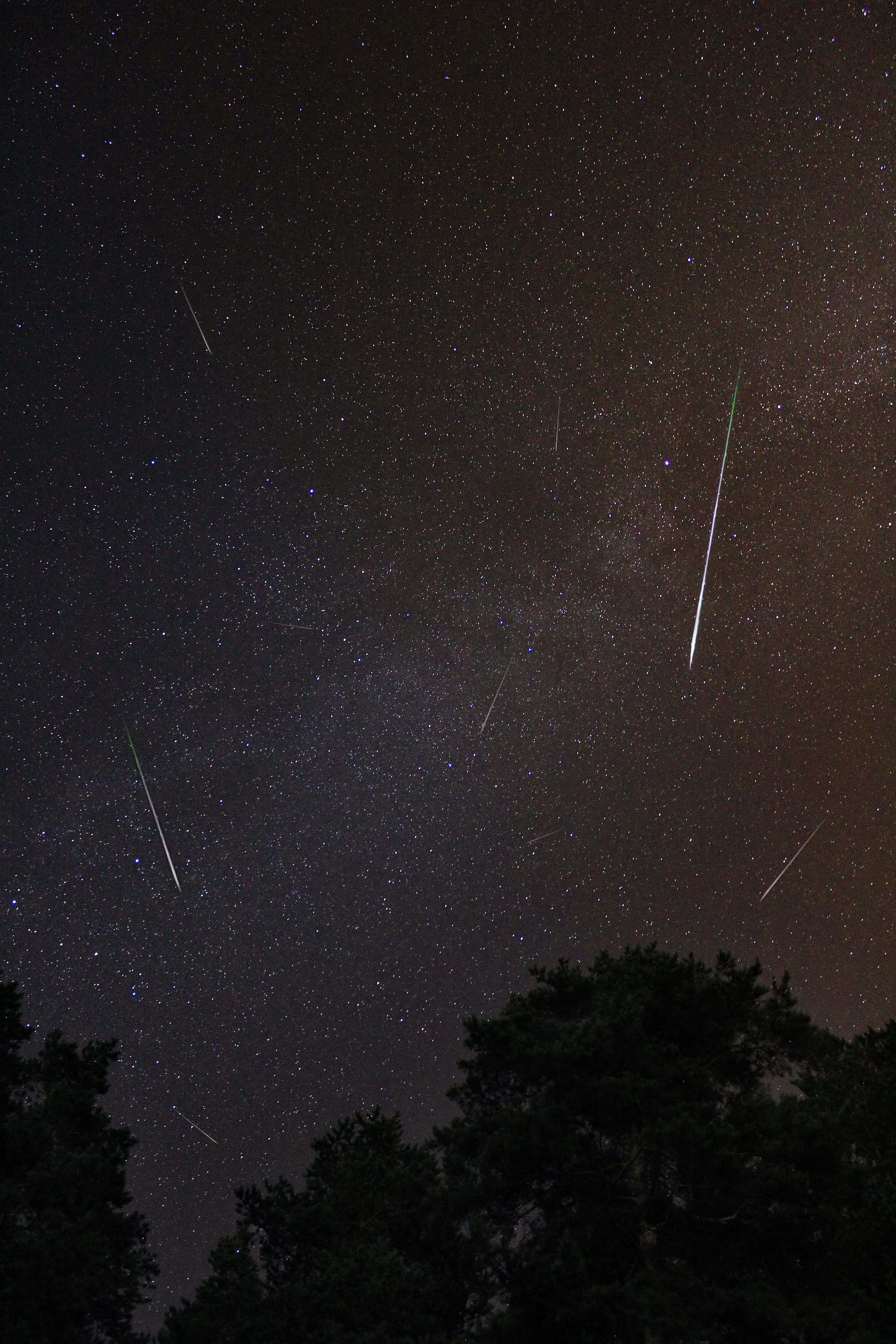 meteor 桌布 壁紙 — 繁星點點的夜空，明亮的流星軌跡劃過，拱形籠罩在黑暗的樹梢剪影之上。