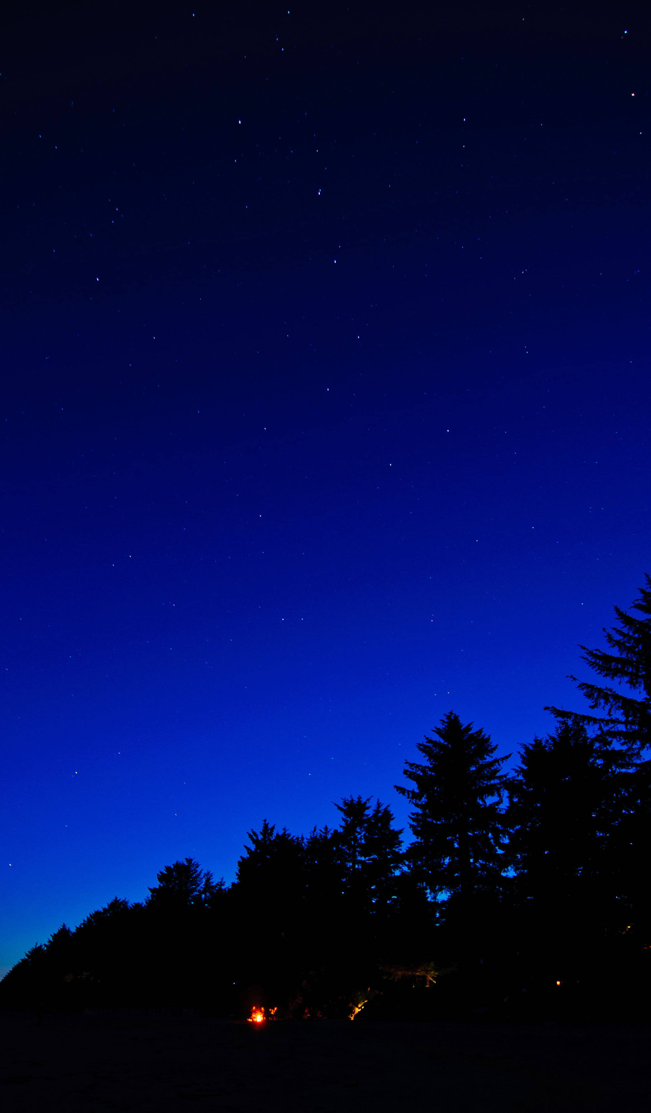 Android Phone 桌布 壁紙 — 繁星點點的夜空在深藍色中閃耀，下方是黑暗的森林輪廓，底部有一個小營火在發光。