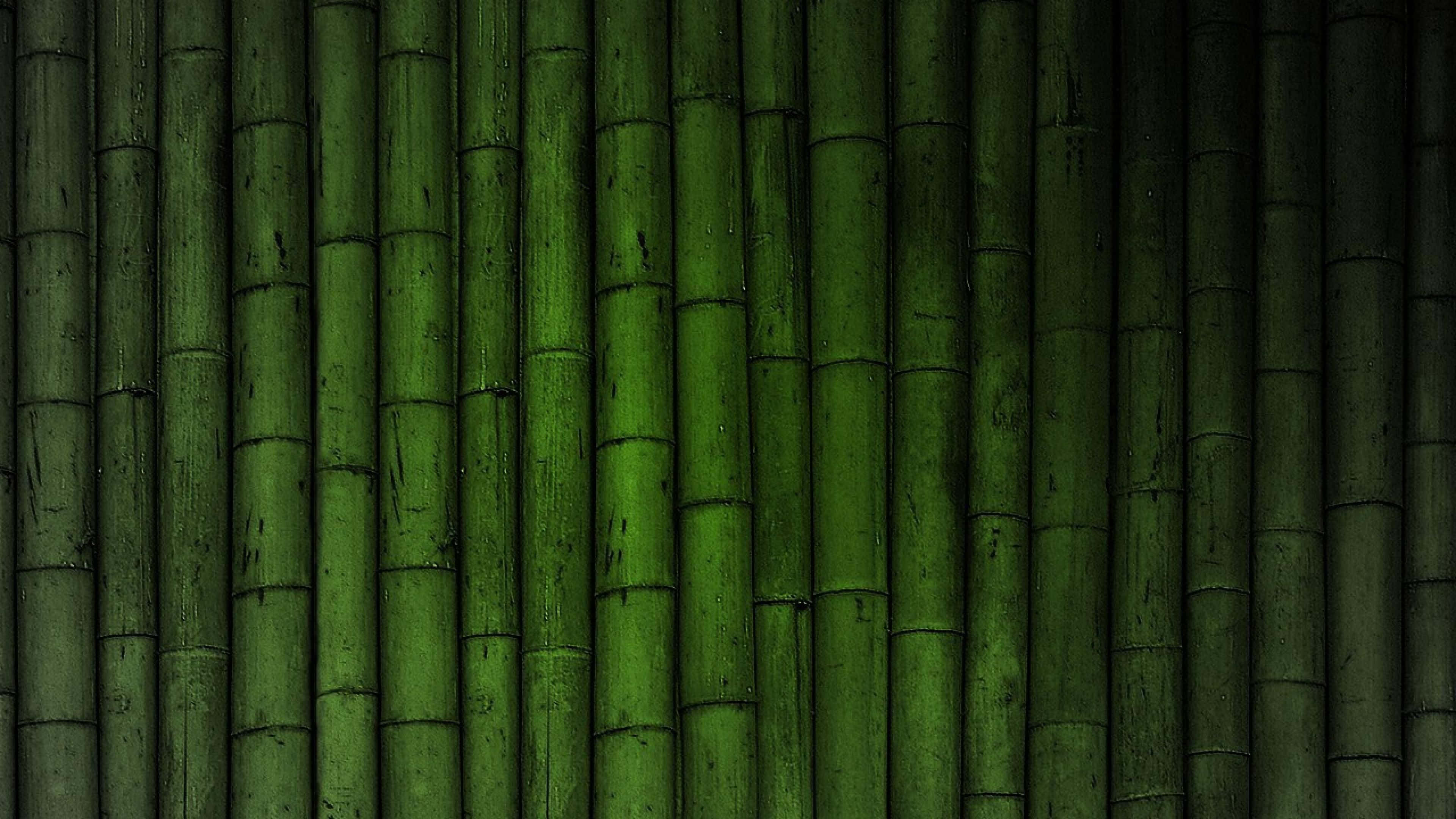 繁茂竹林中的自然風景 壁紙 — 垂直的竹莖以不同深淺的綠色形成一面有紋理的自然牆壁，帶有微妙的陰影和有機的不完美之處。