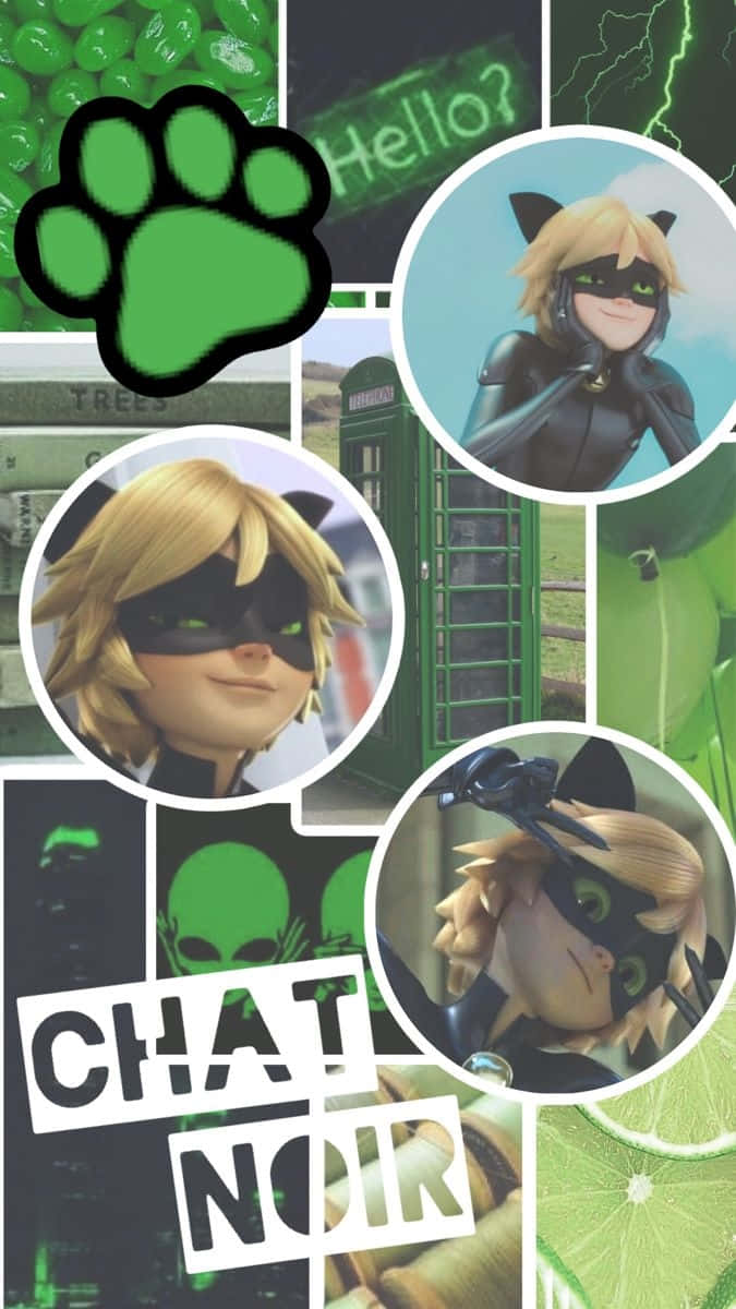 Cat Noir 動漫角色的拼貼畫，帶有綠色爪印和青檸片。
