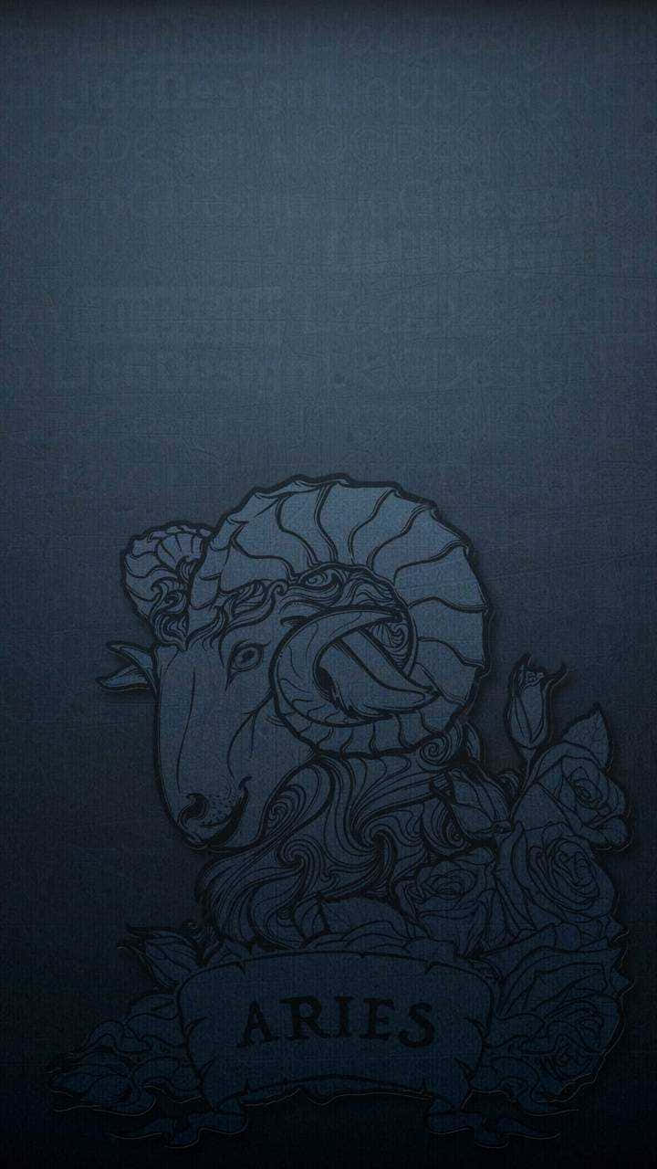 牡羊座符號搭配玫瑰和橫幅，置於深藍色紋理背景上。